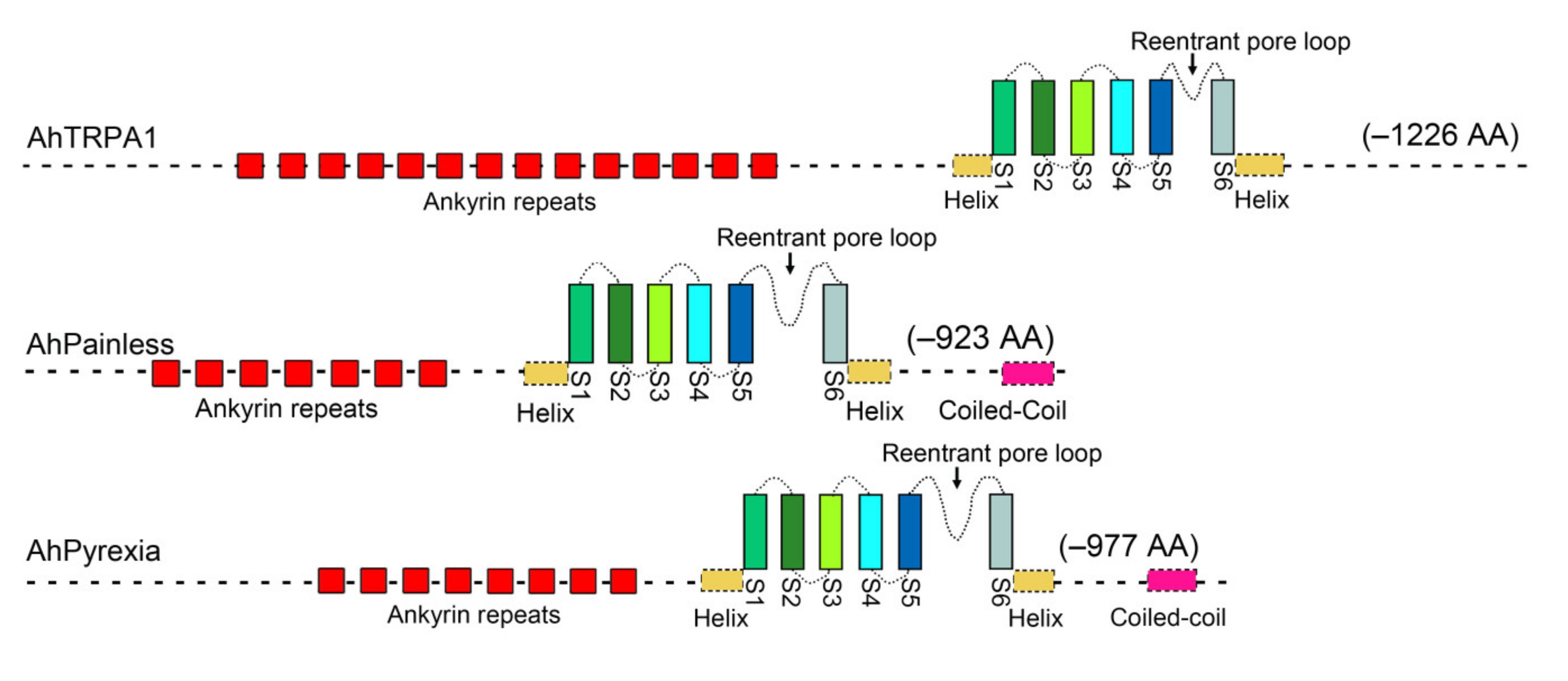 Insects 11 00531 g001
