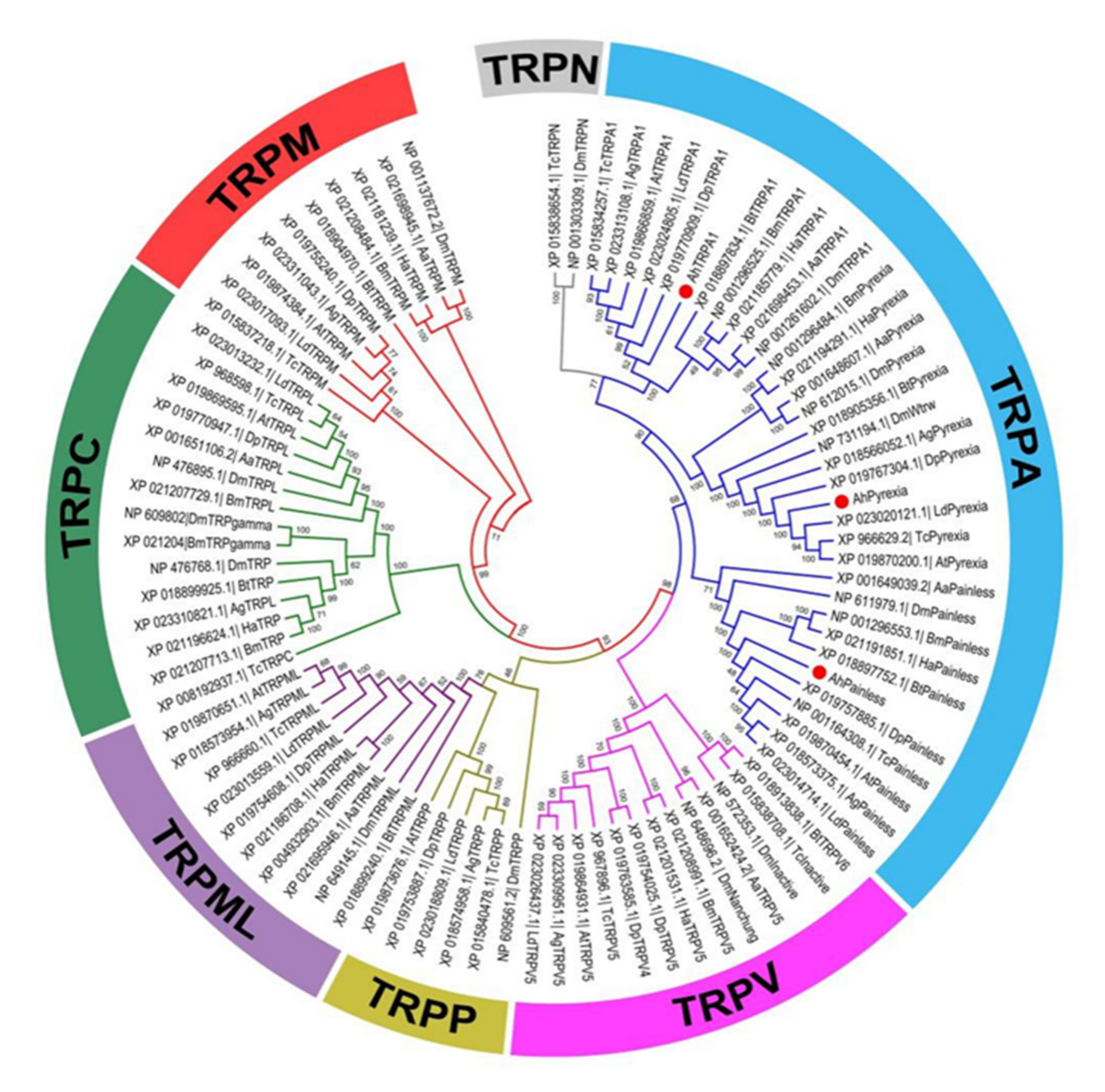 Insects 11 00531 g002