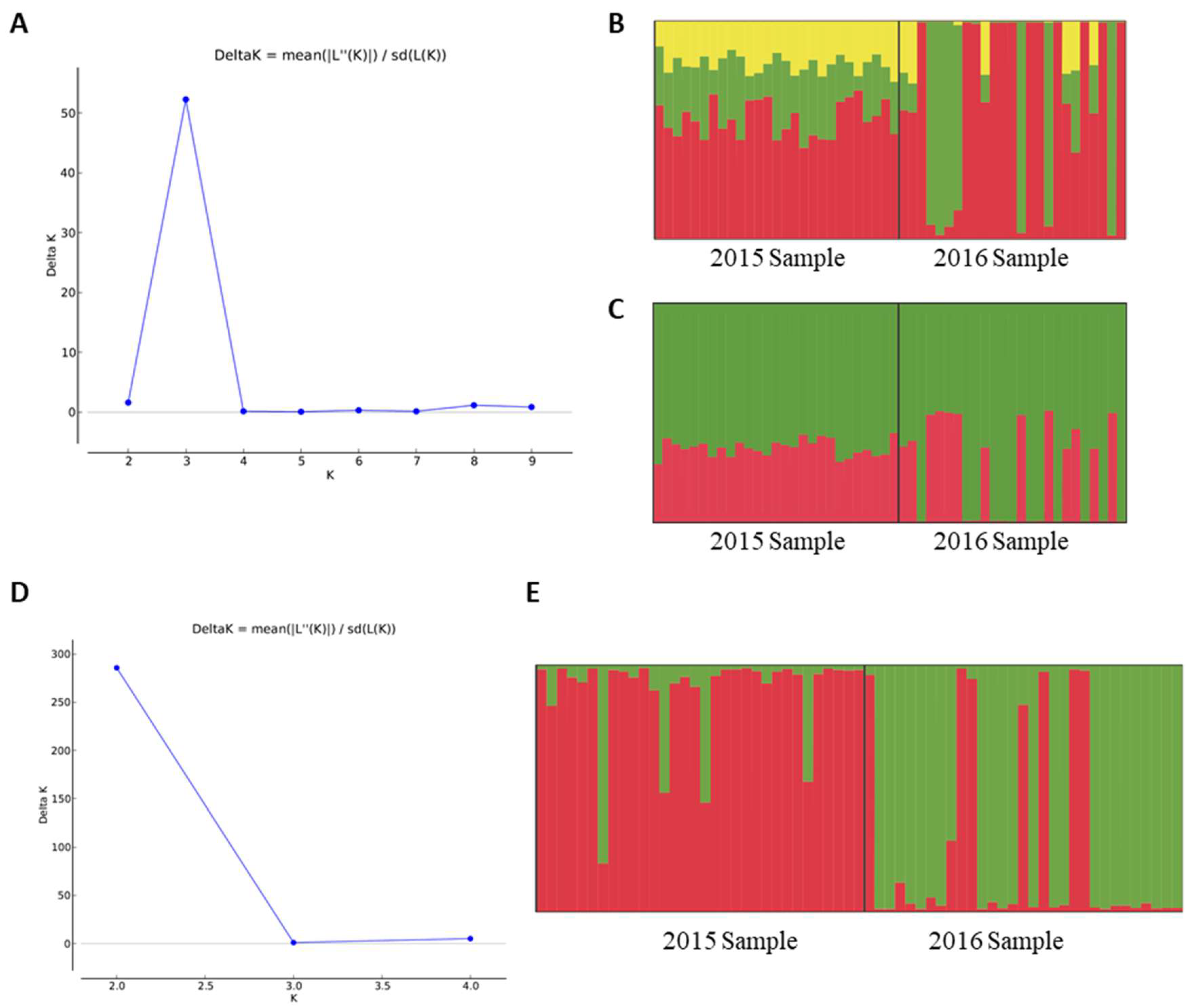 Insects 11 00539 g001
