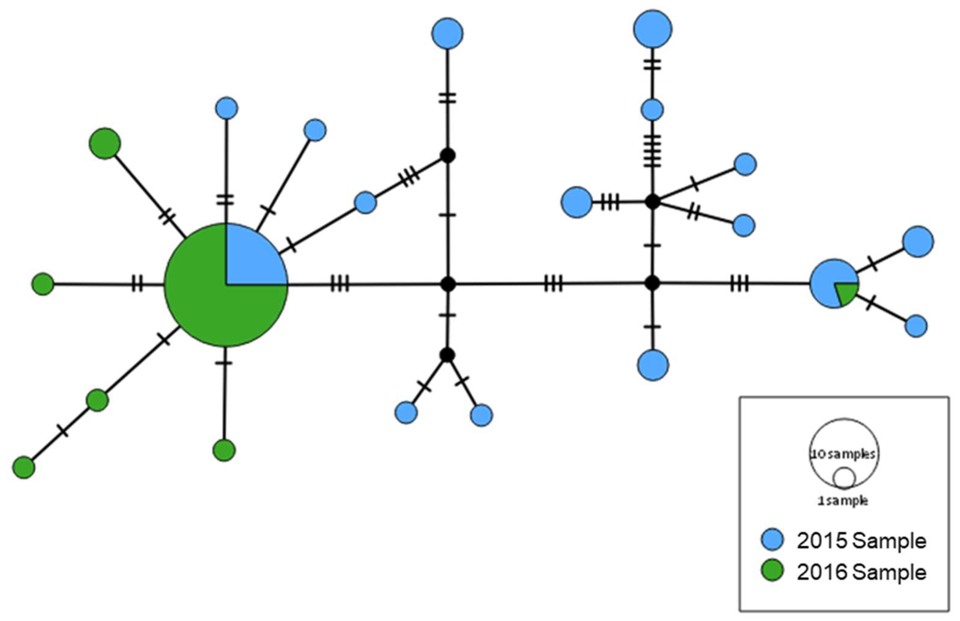 Insects 11 00539 g003