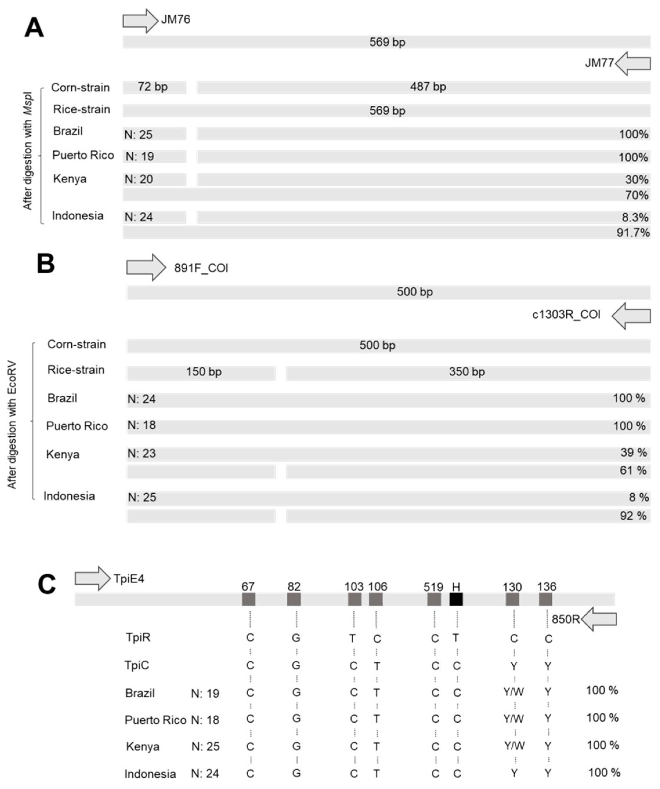 Insects 11 00545 g002