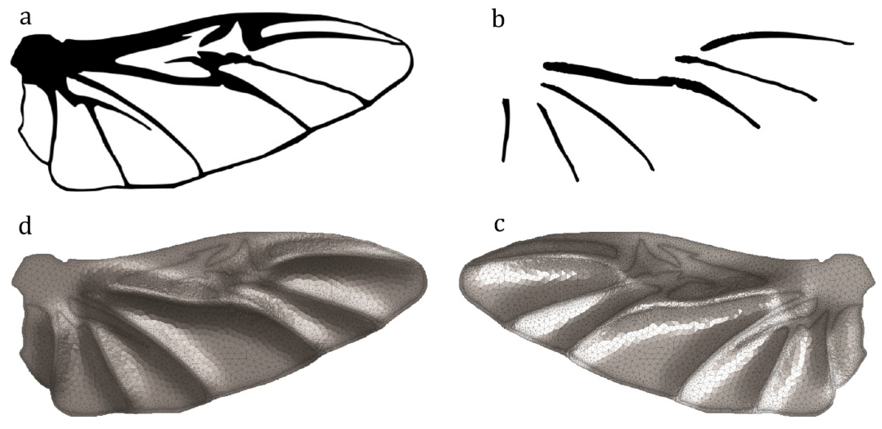 Insects 11 00546 g005