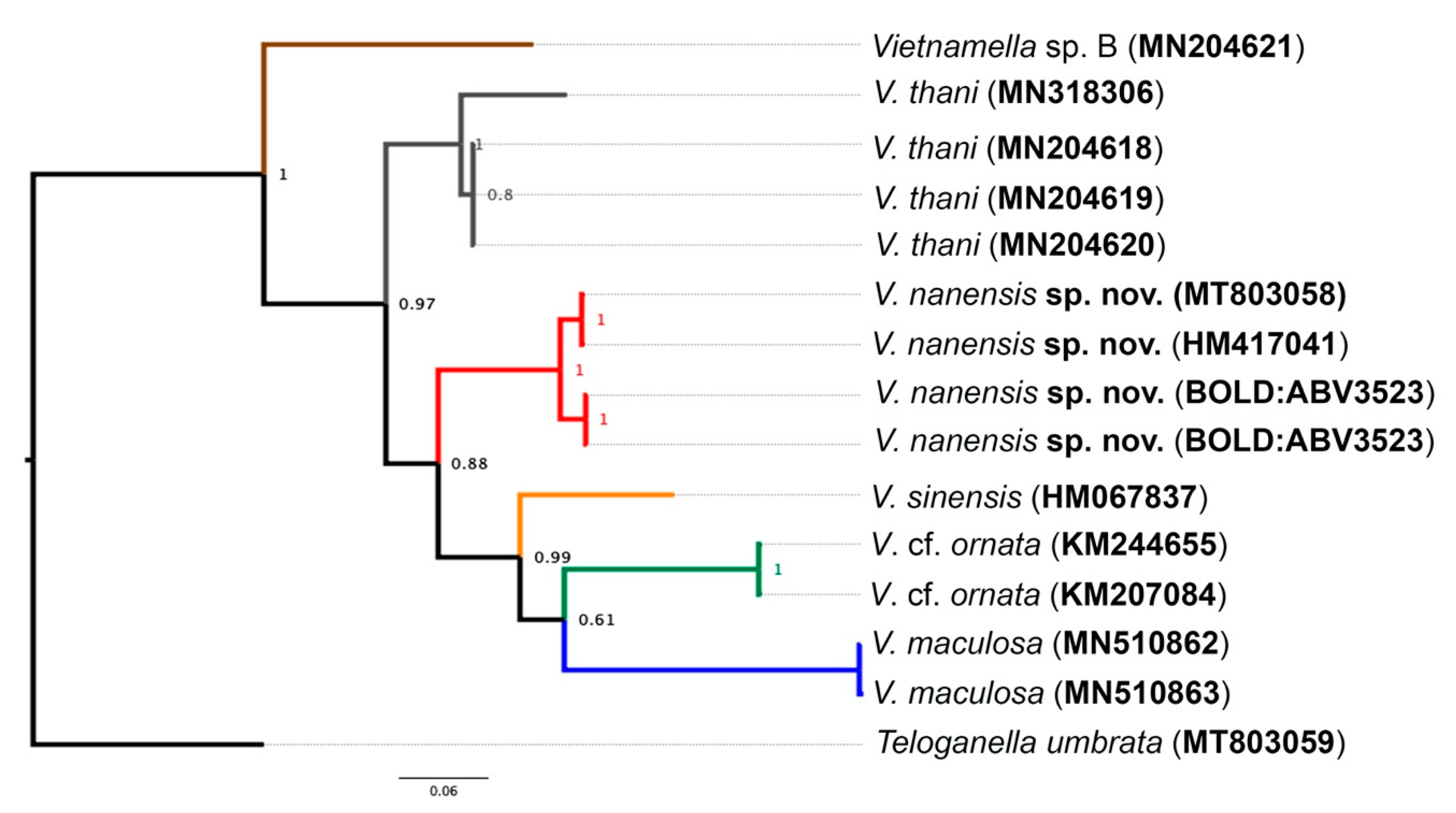 Insects 11 00554 g009