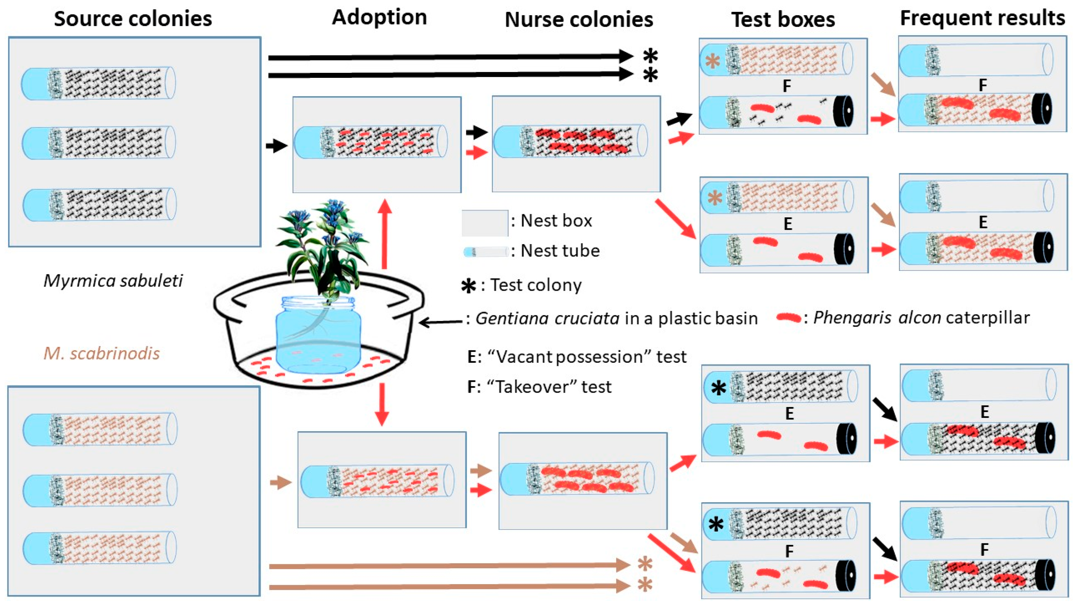 Insects 11 00556 g002