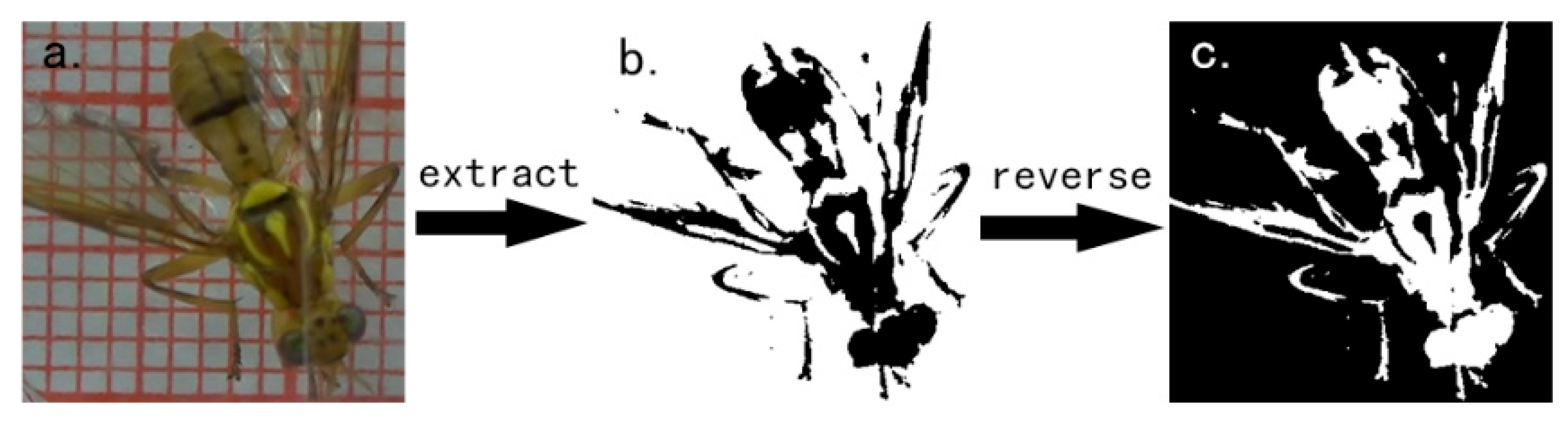 Insects 11 00565 g003 Insects 11 00565 g003