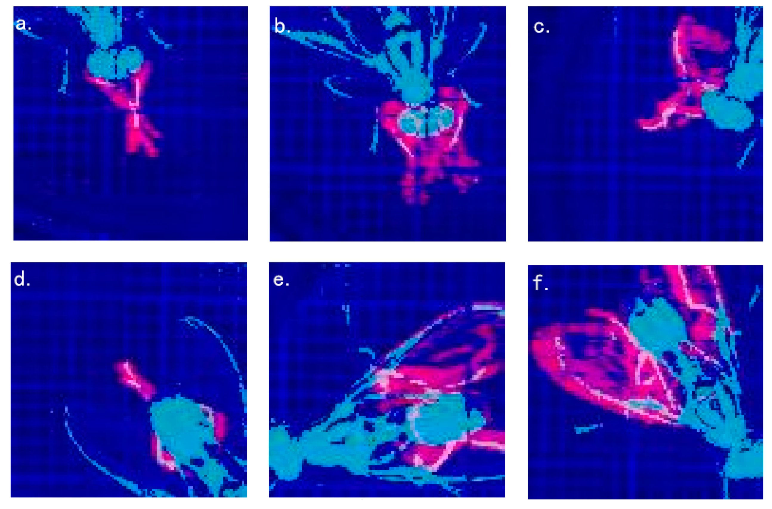 Insects 11 00565 g007 Insects 11 00565 g007