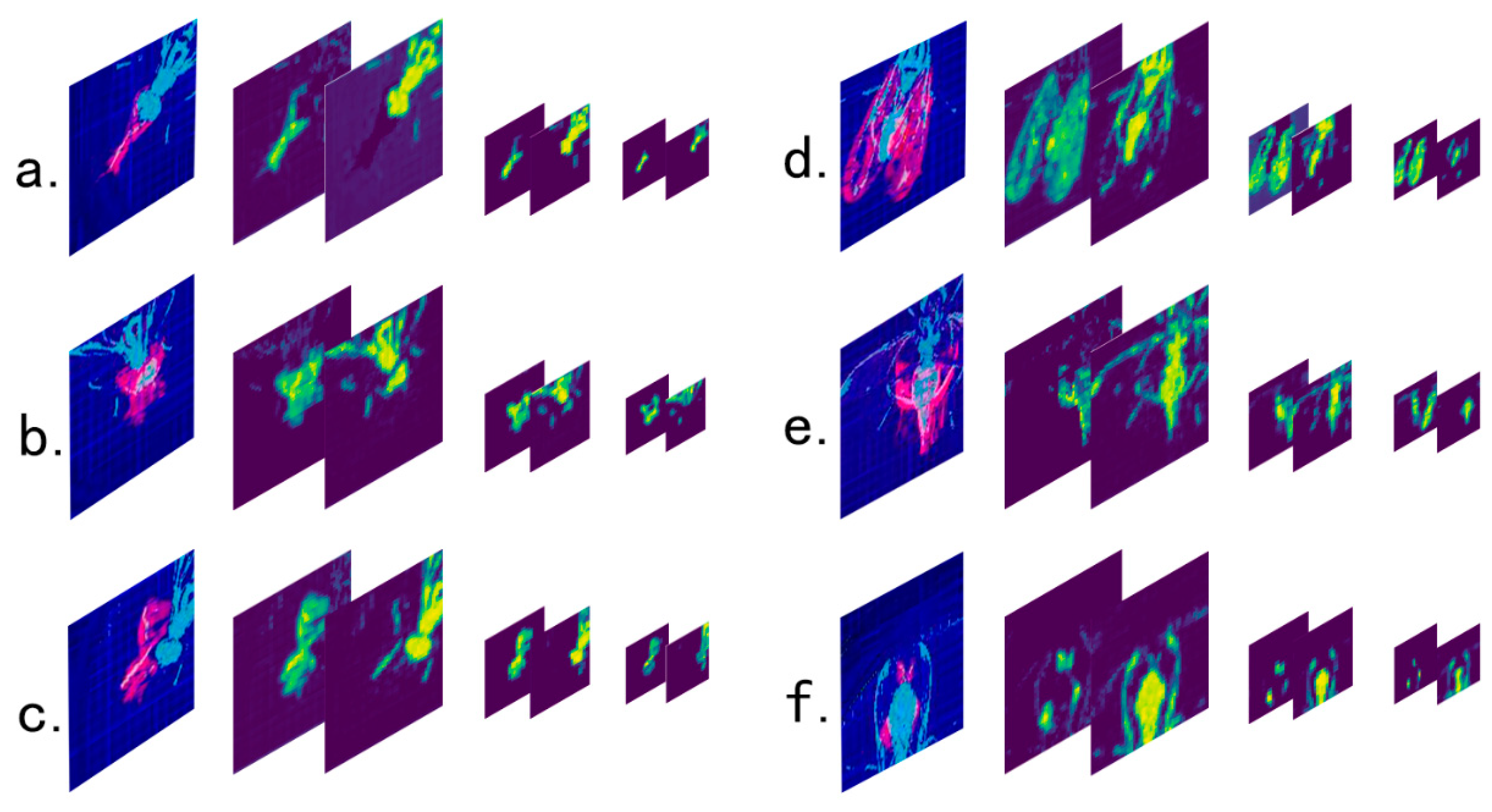 Insects 11 00565 g010 Insects 11 00565 g010