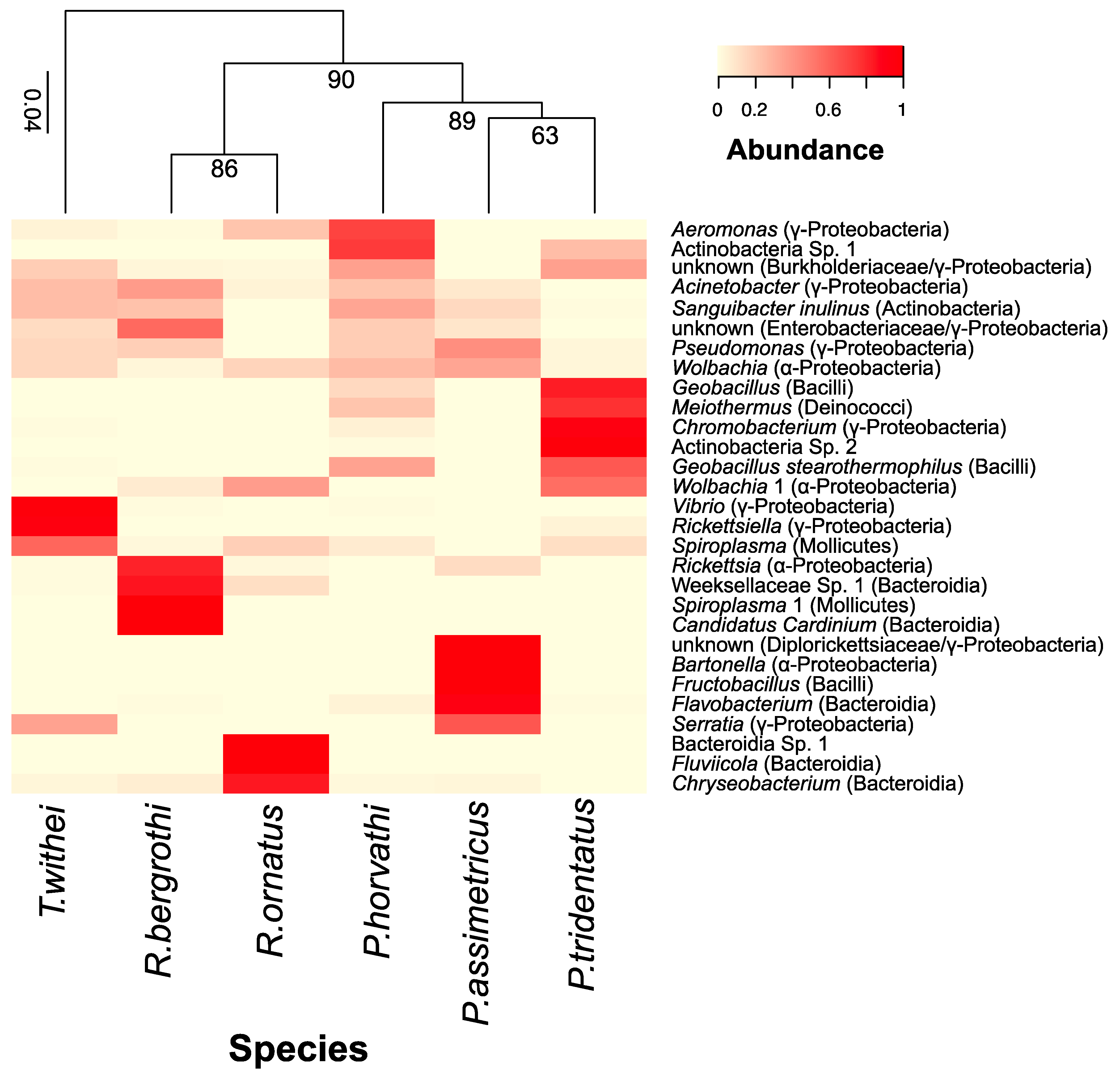 Insects 11 00578 g005 Insects 11 00578 g005