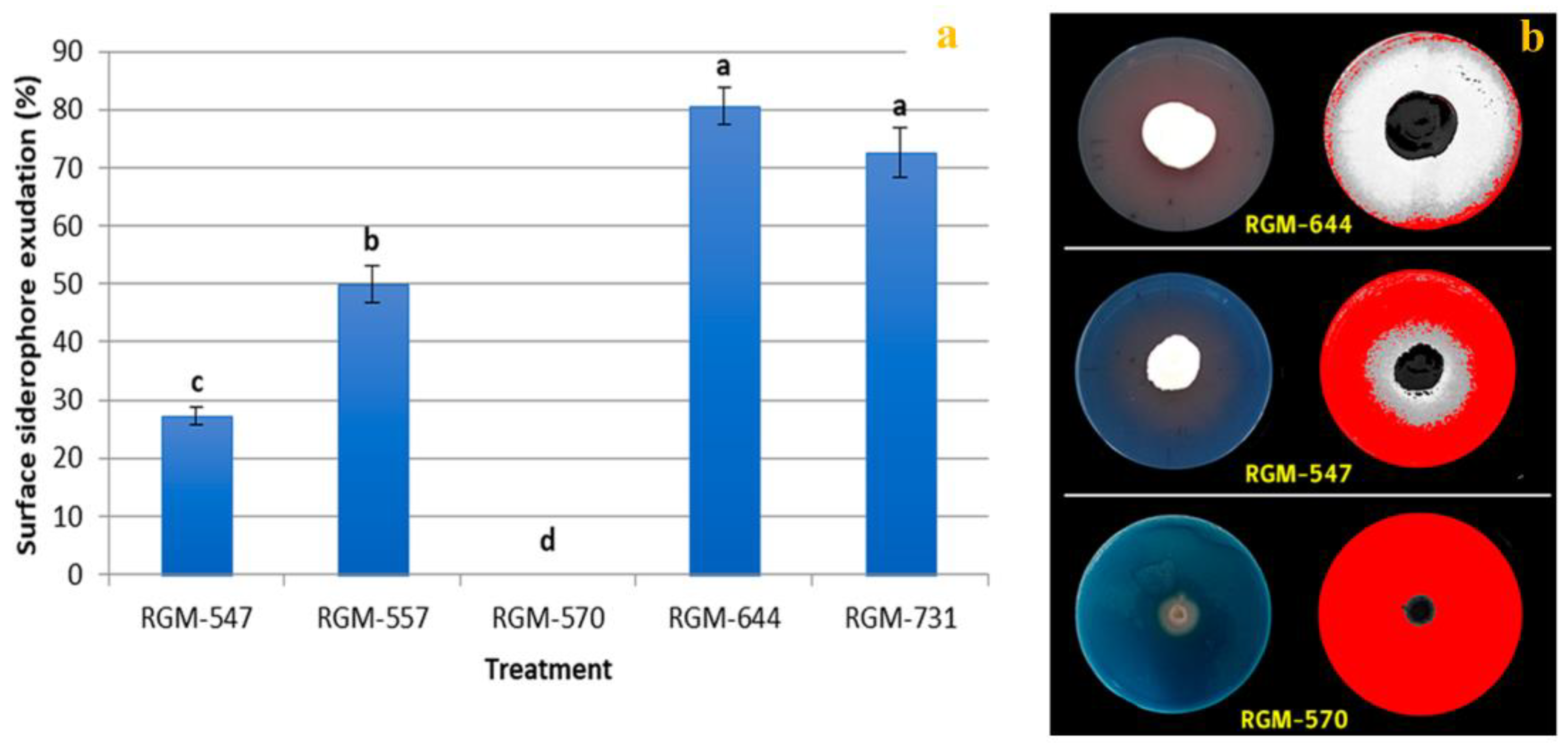 Insects 11 00591 g005