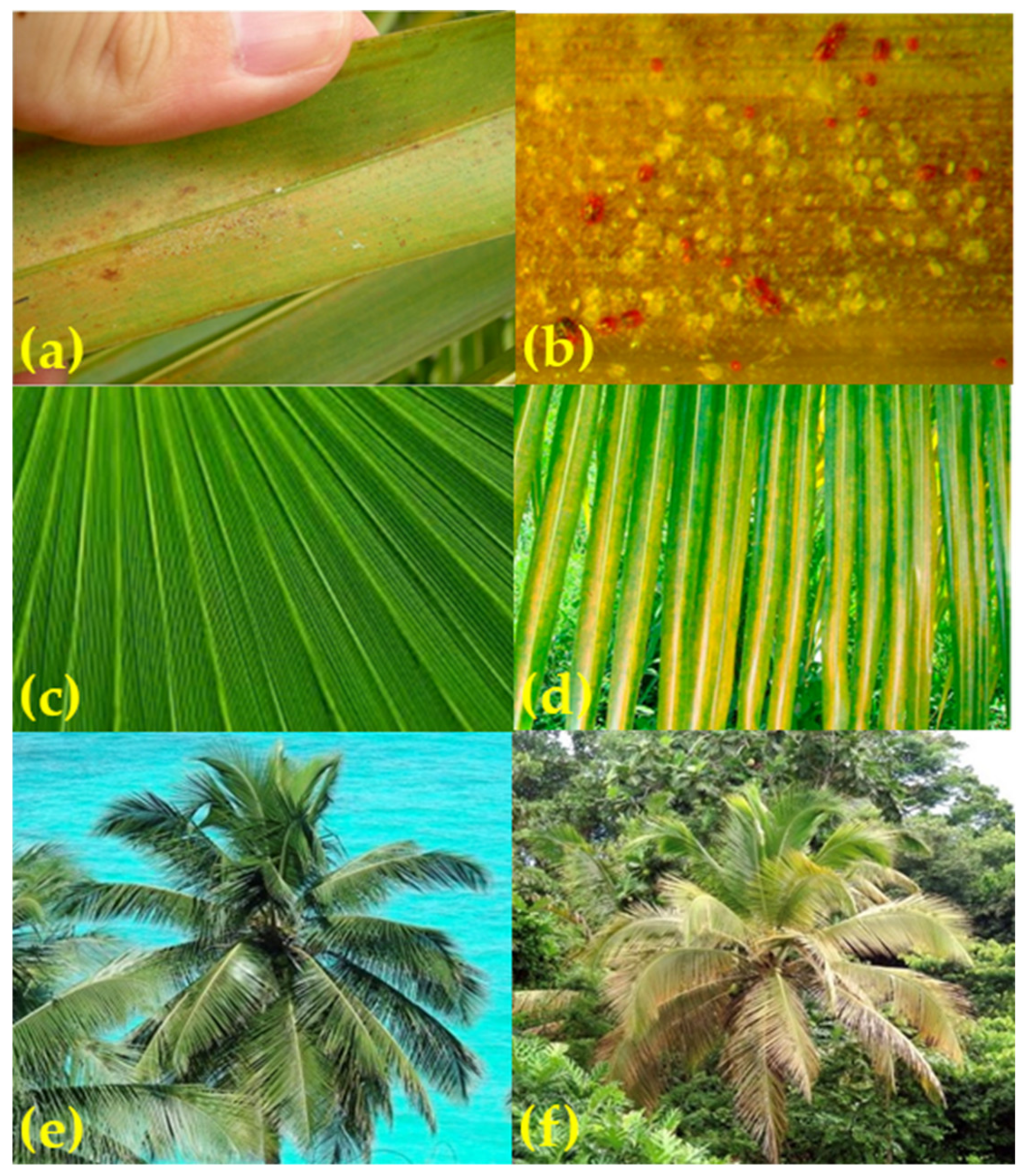 Insects 11 00627 g002 Insects 11 00627 g002