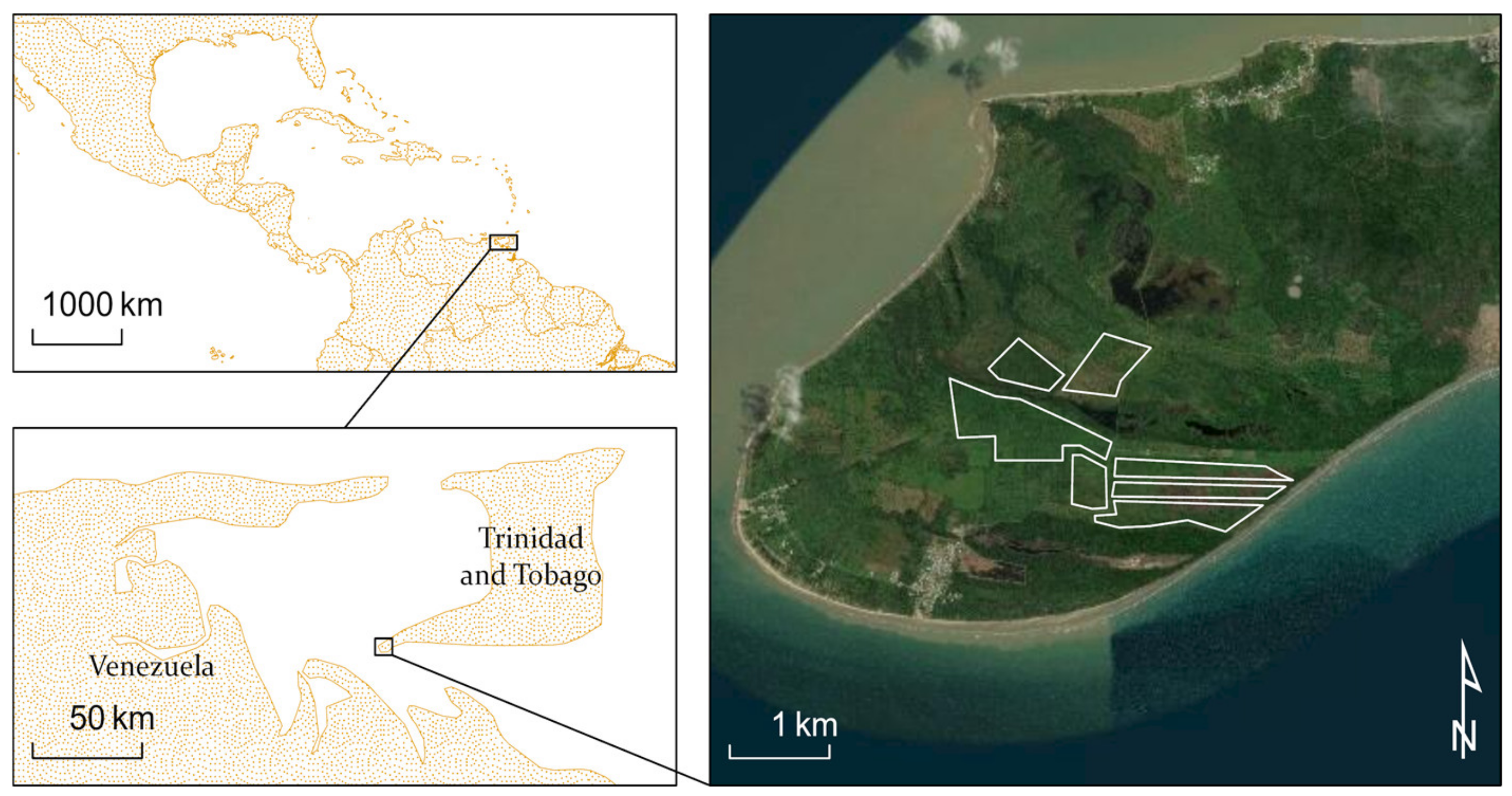 Insects 11 00627 g005 Insects 11 00627 g005