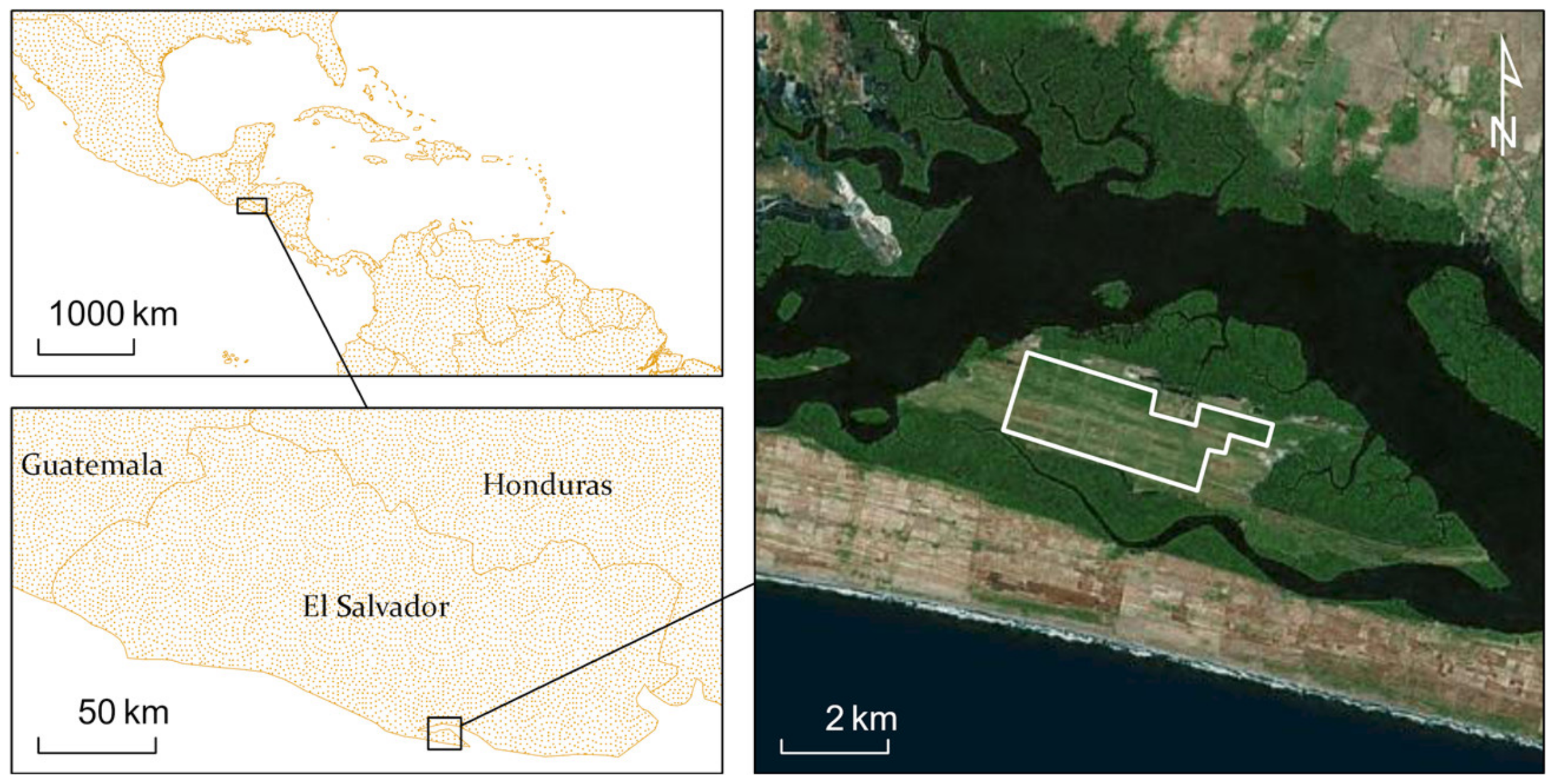 Insects 11 00627 g007 Insects 11 00627 g007