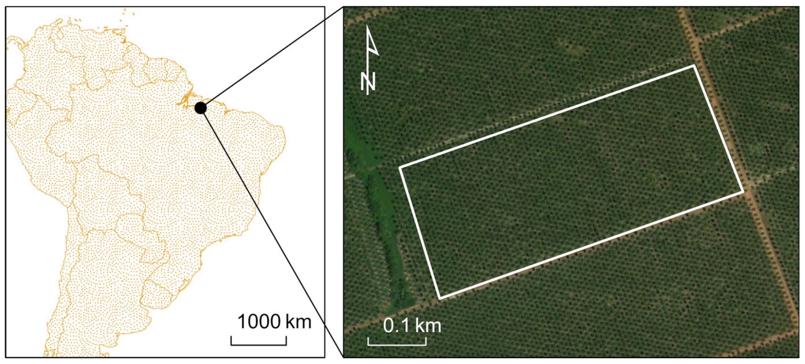 Insects 11 00627 g011 Insects 11 00627 g011