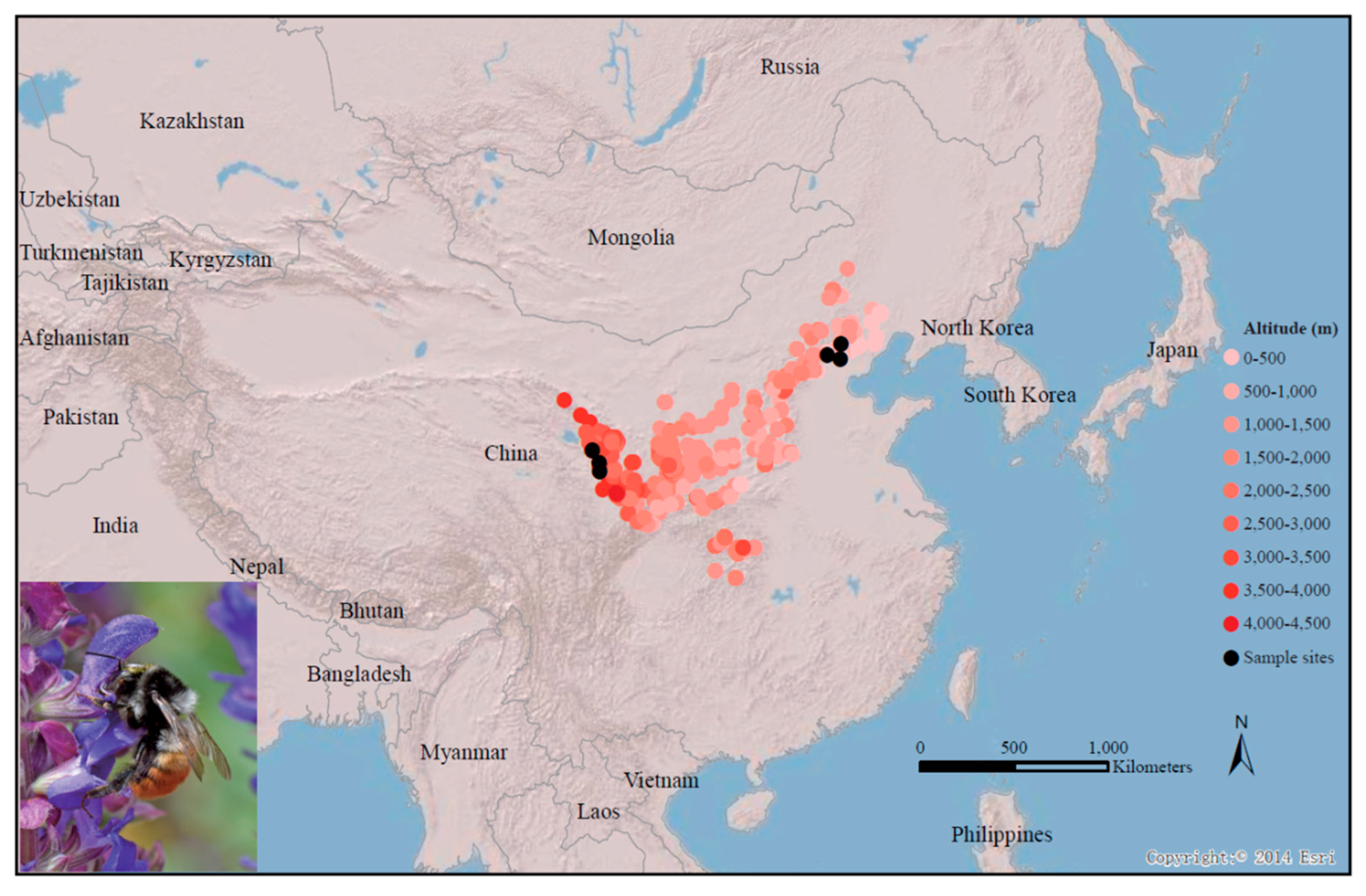 Insects 11 00631 g001 Insects 11 00631 g001