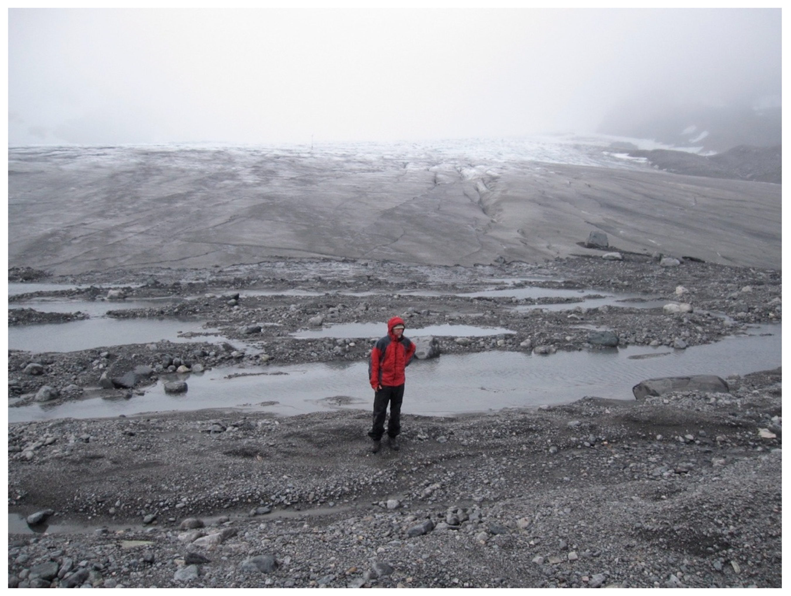 Insects 11 00644 g001