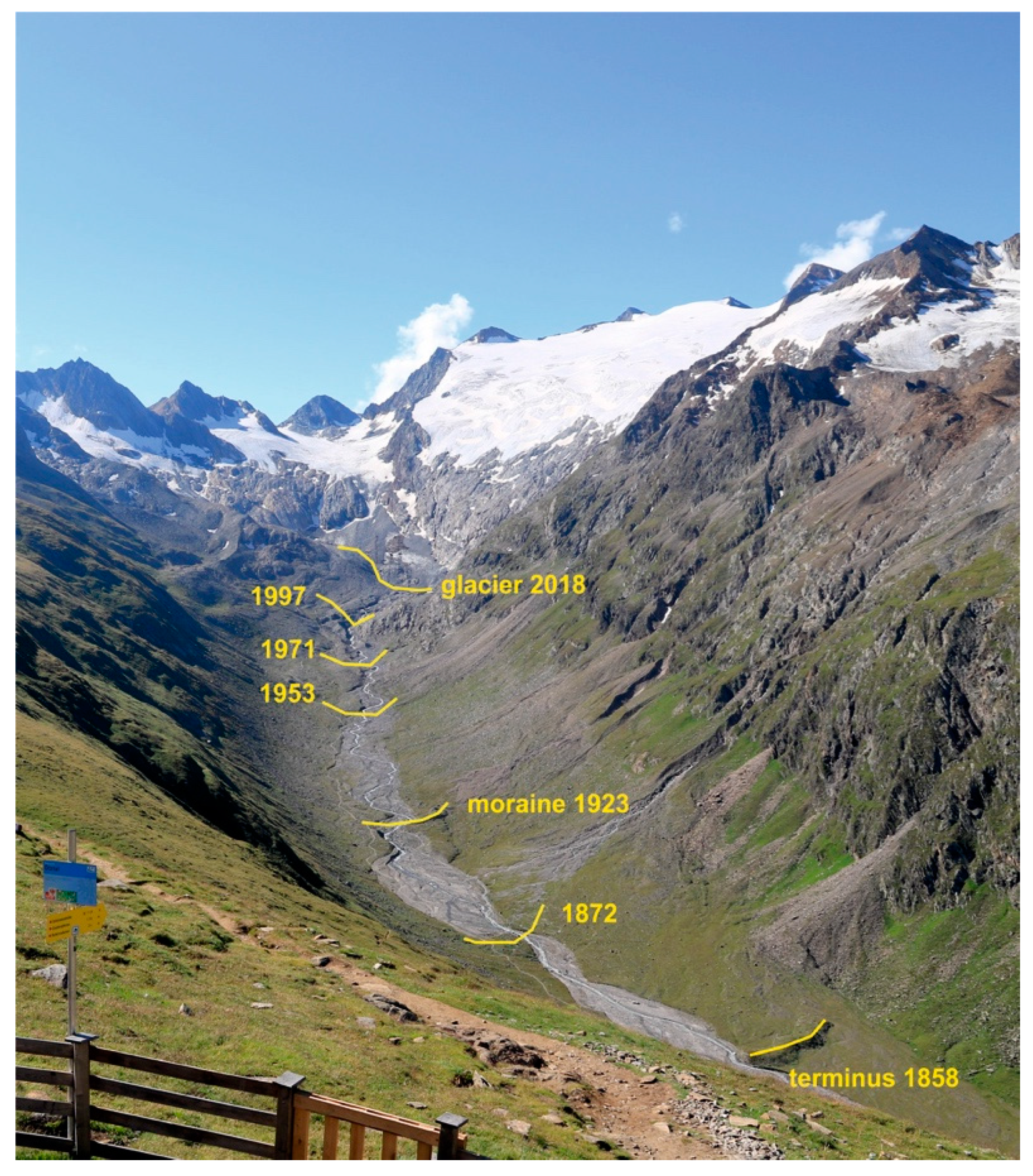 Insects 11 00644 g002