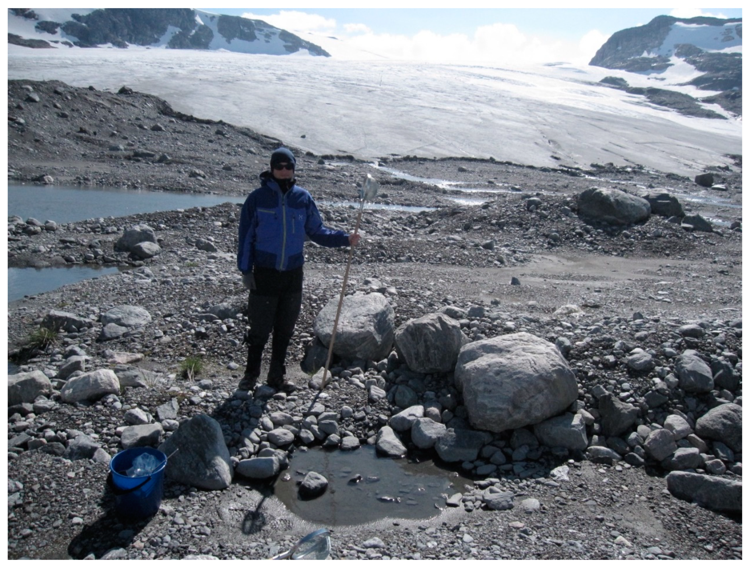 Insects 11 00644 g004