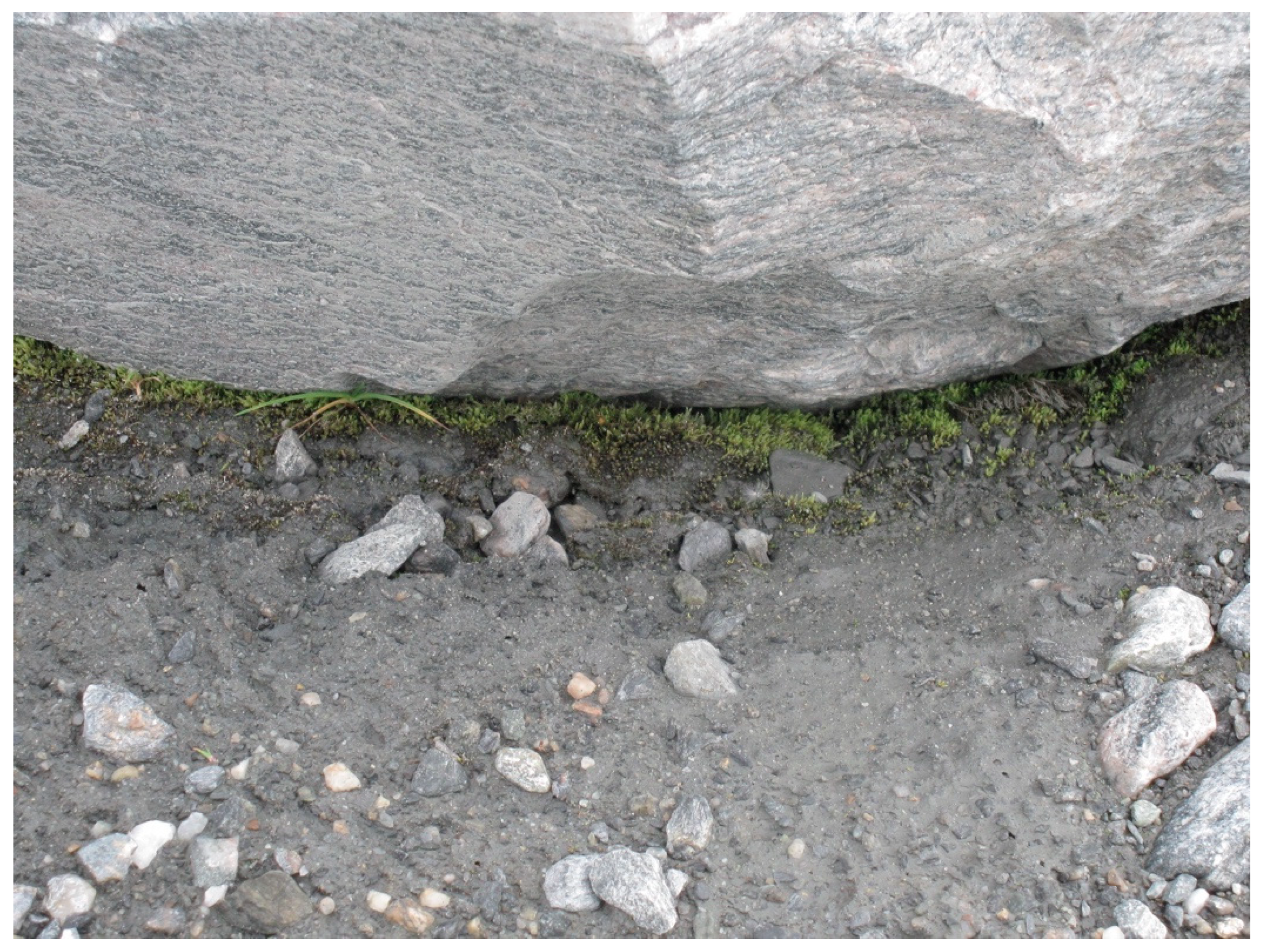 Insects 11 00644 g005