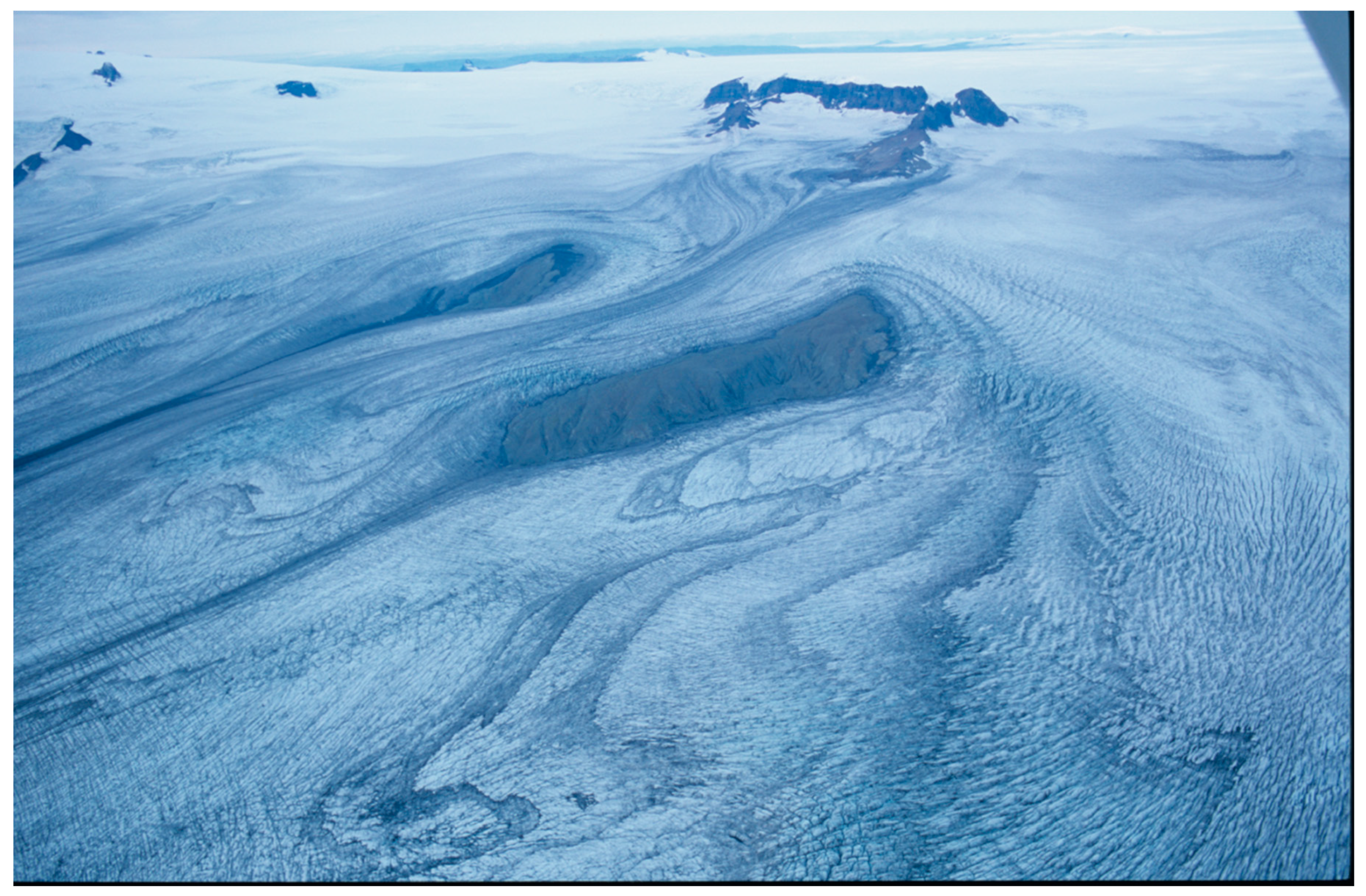 Insects 11 00644 g008