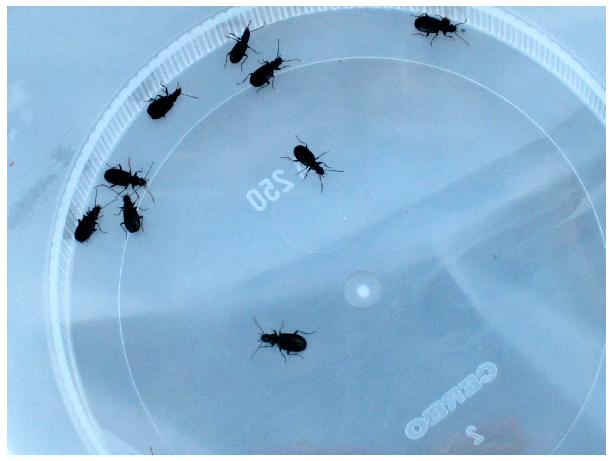 Insects 11 00644 g009