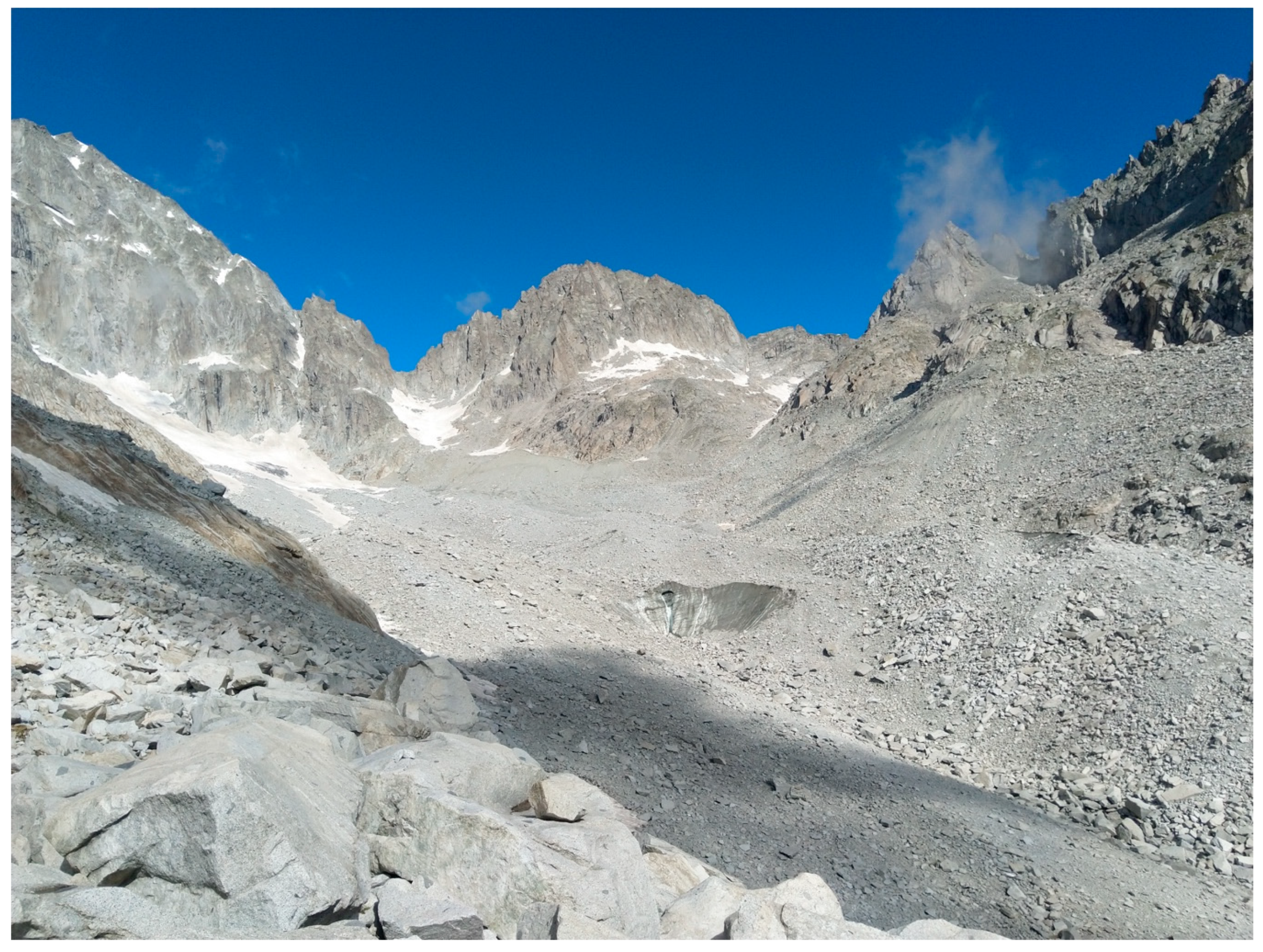 Insects 11 00644 g011