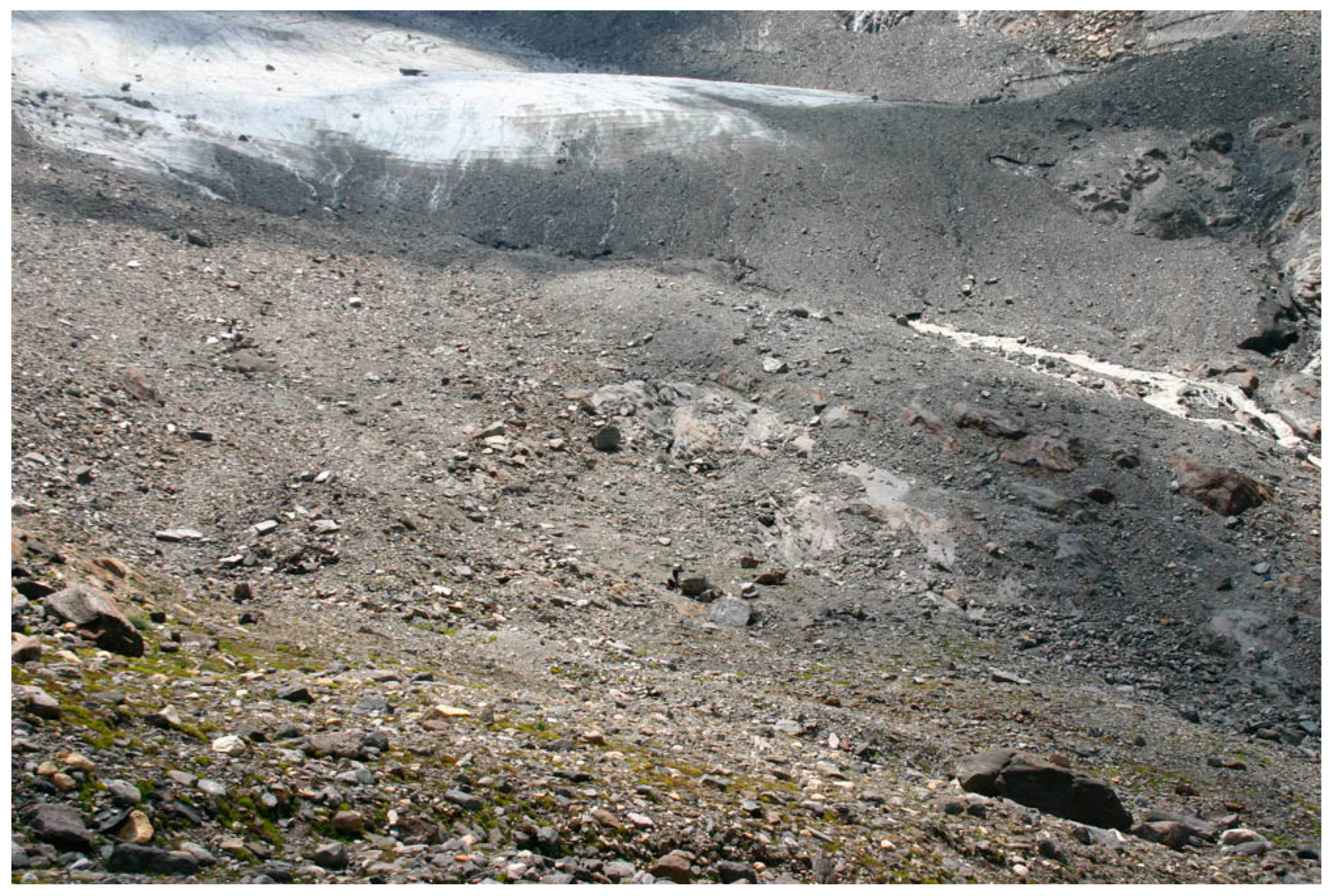 Insects 11 00644 g012