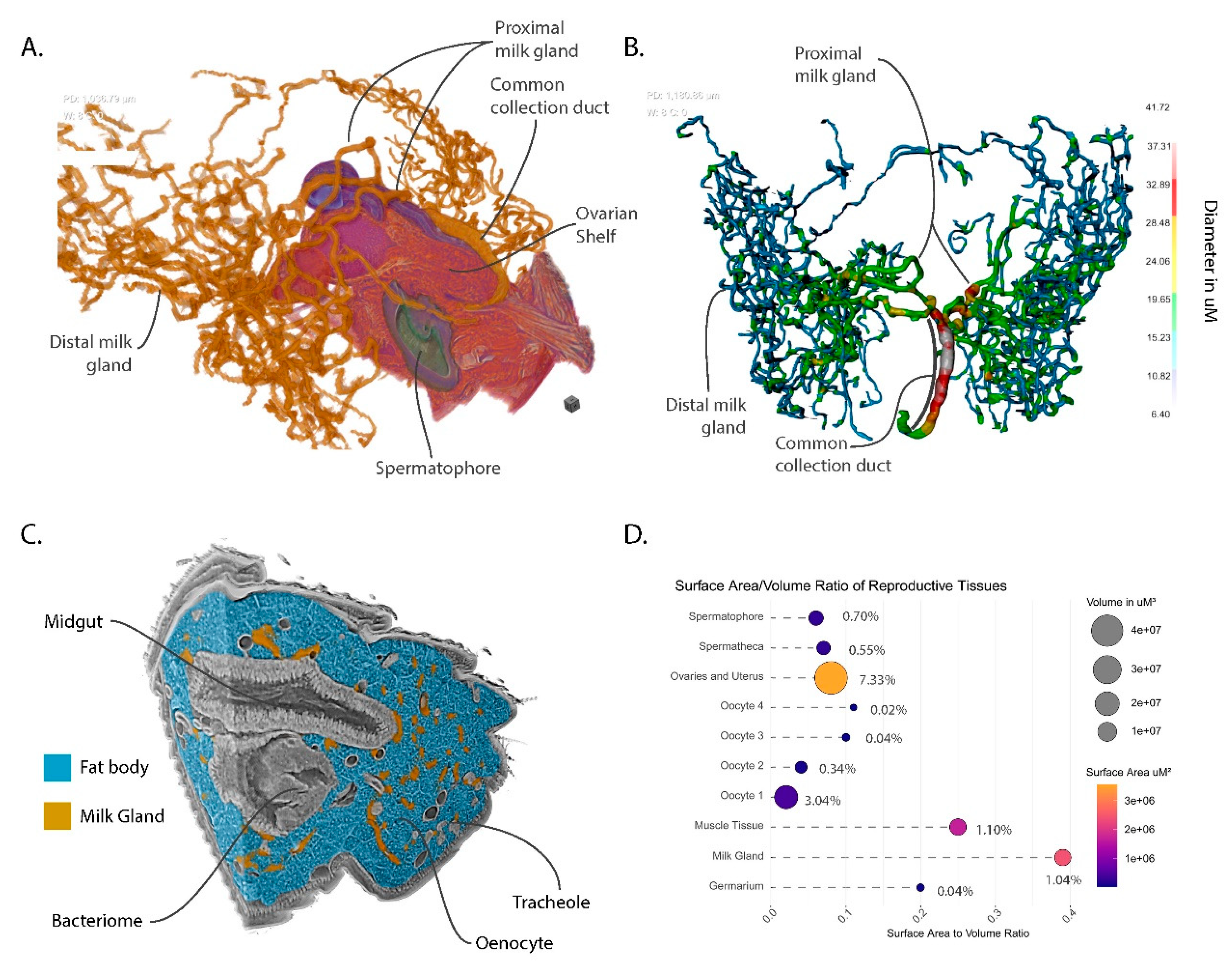 Insects 11 00651 g005 Insects 11 00651 g005