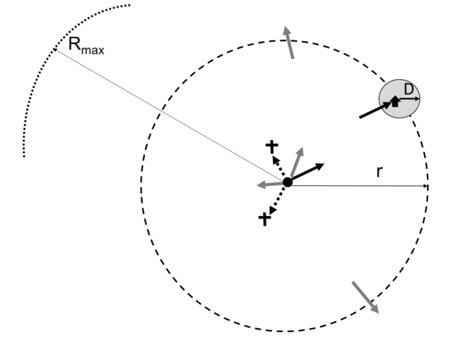 Insects 11 00673 g004