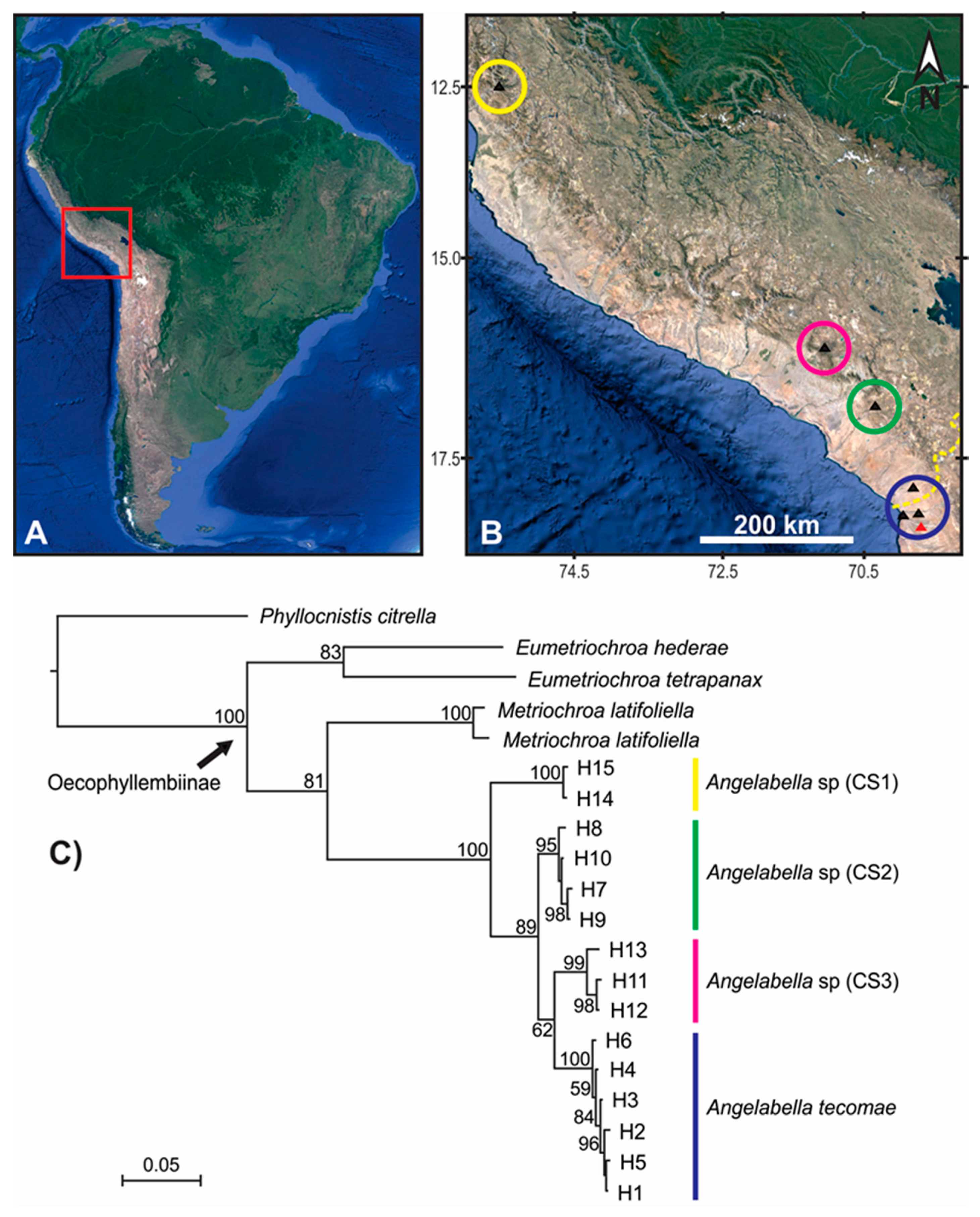 Insects 11 00677 g002