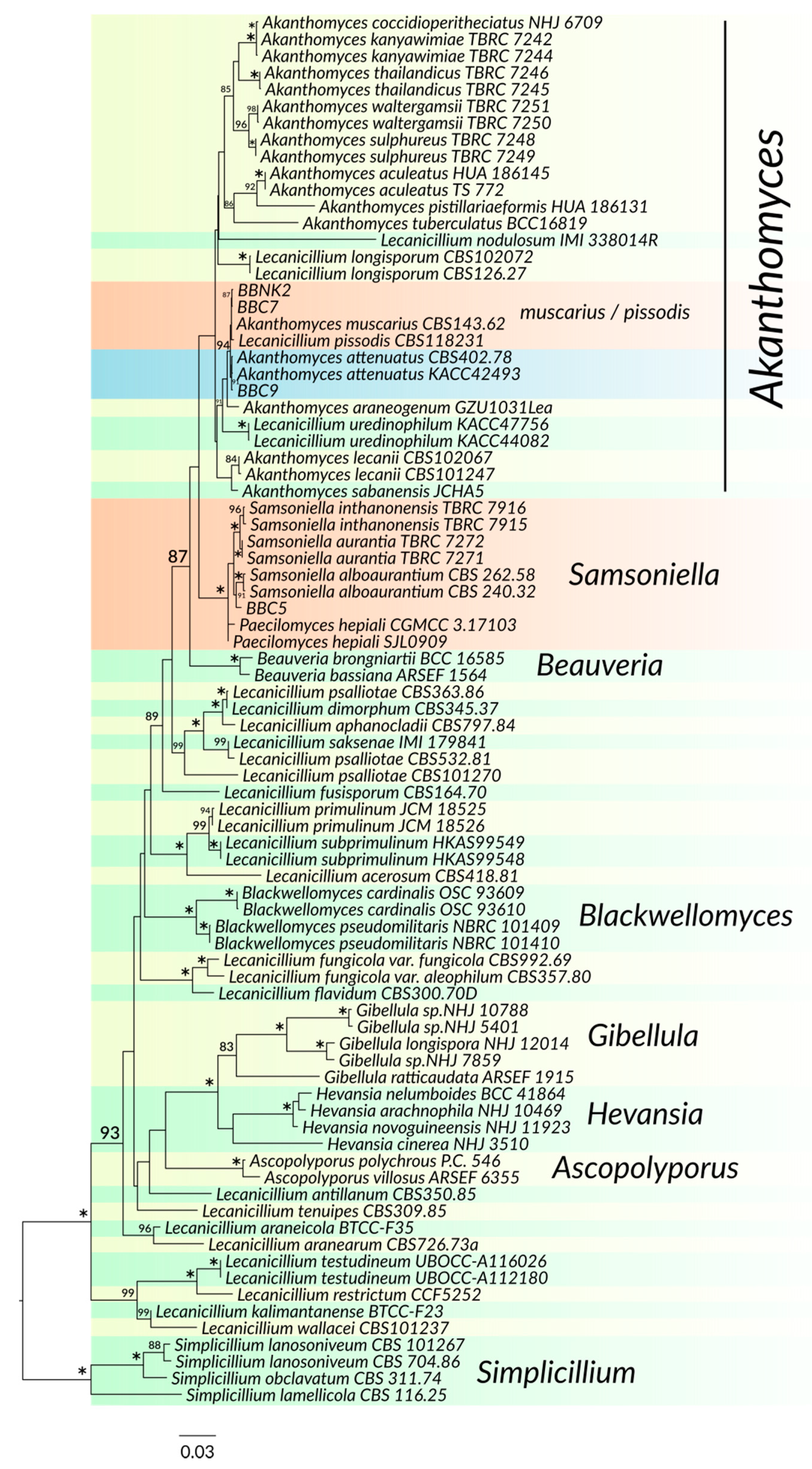 Insects 11 00679 g003 Insects 11 00679 g003