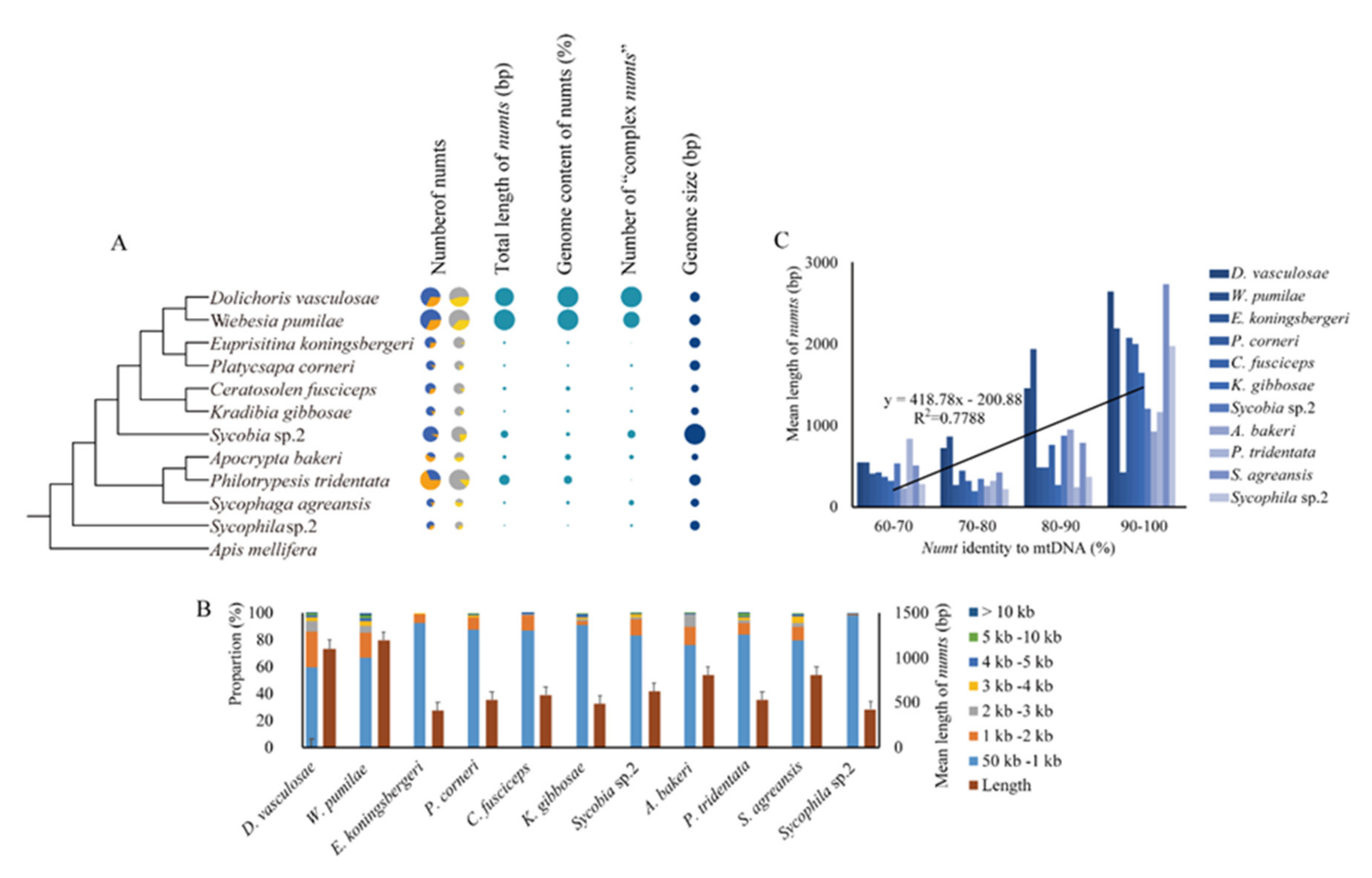 Insects 11 00680 g001