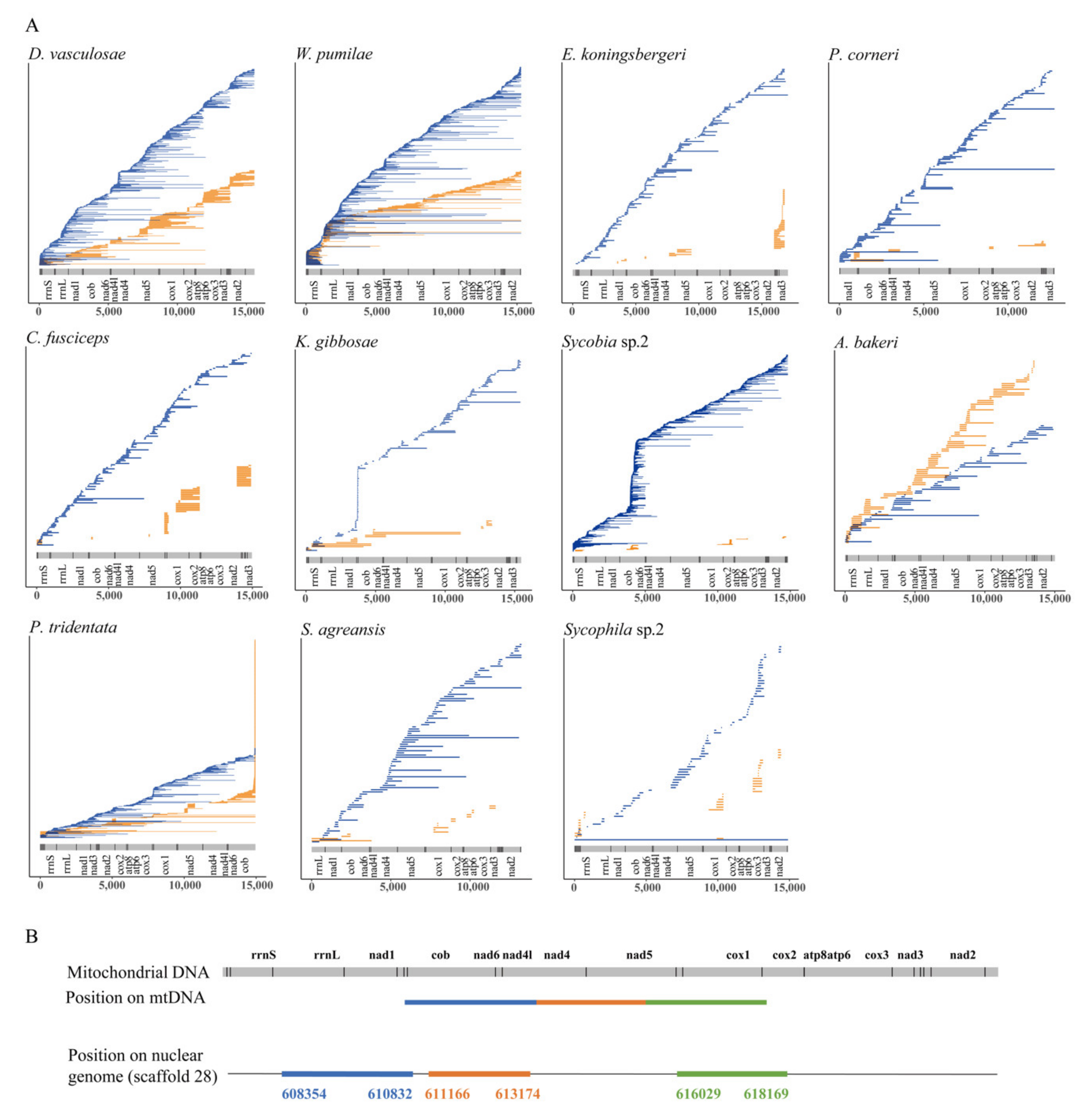 Insects 11 00680 g002