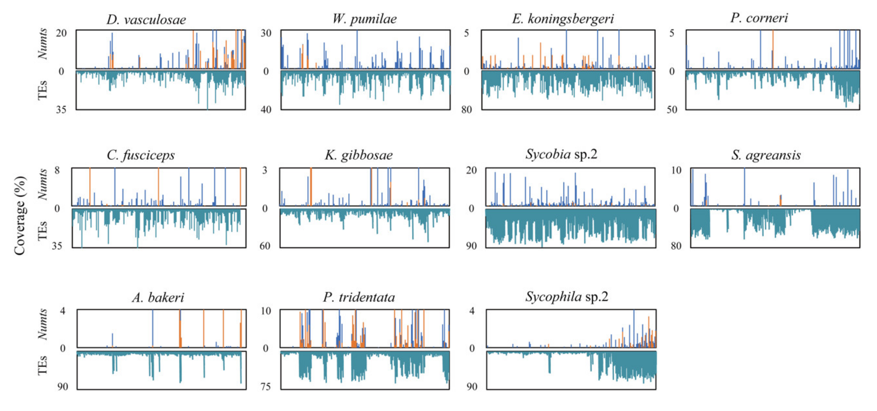 Insects 11 00680 g004