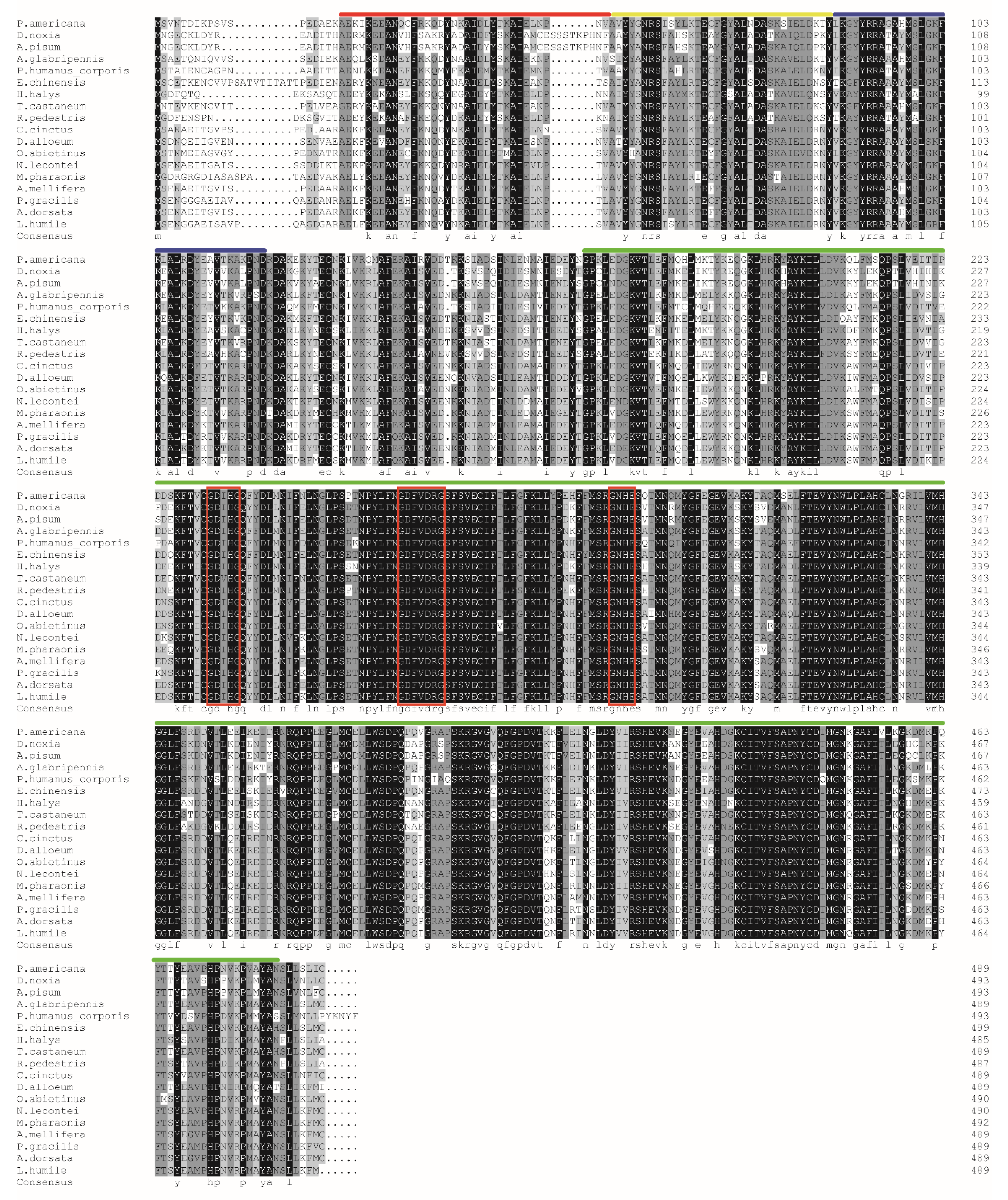 Insects 11 00682 g002