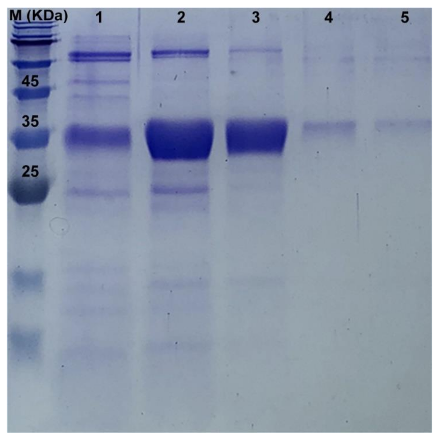 Insects 11 00682 g003