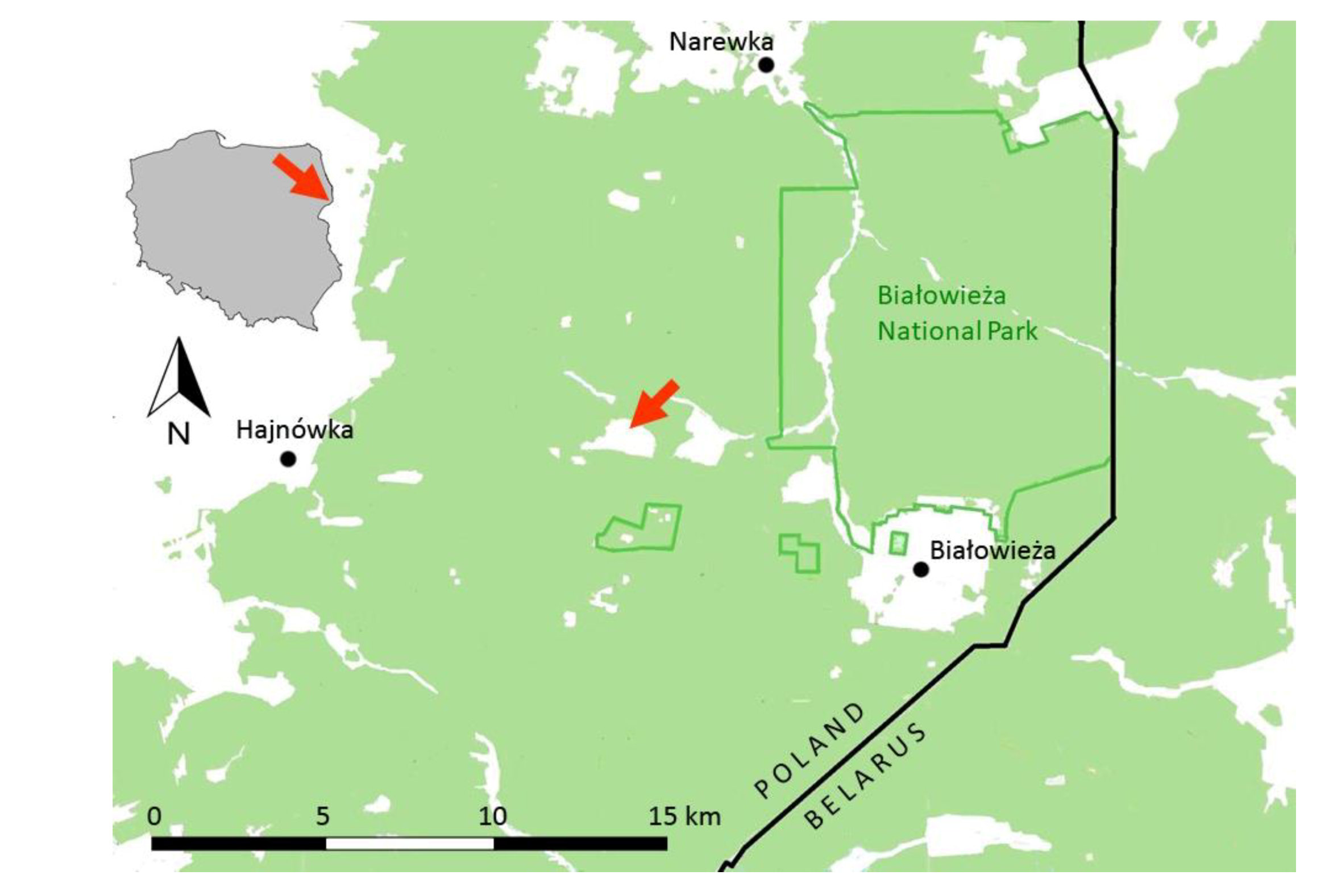 Insects 11 00687 g001