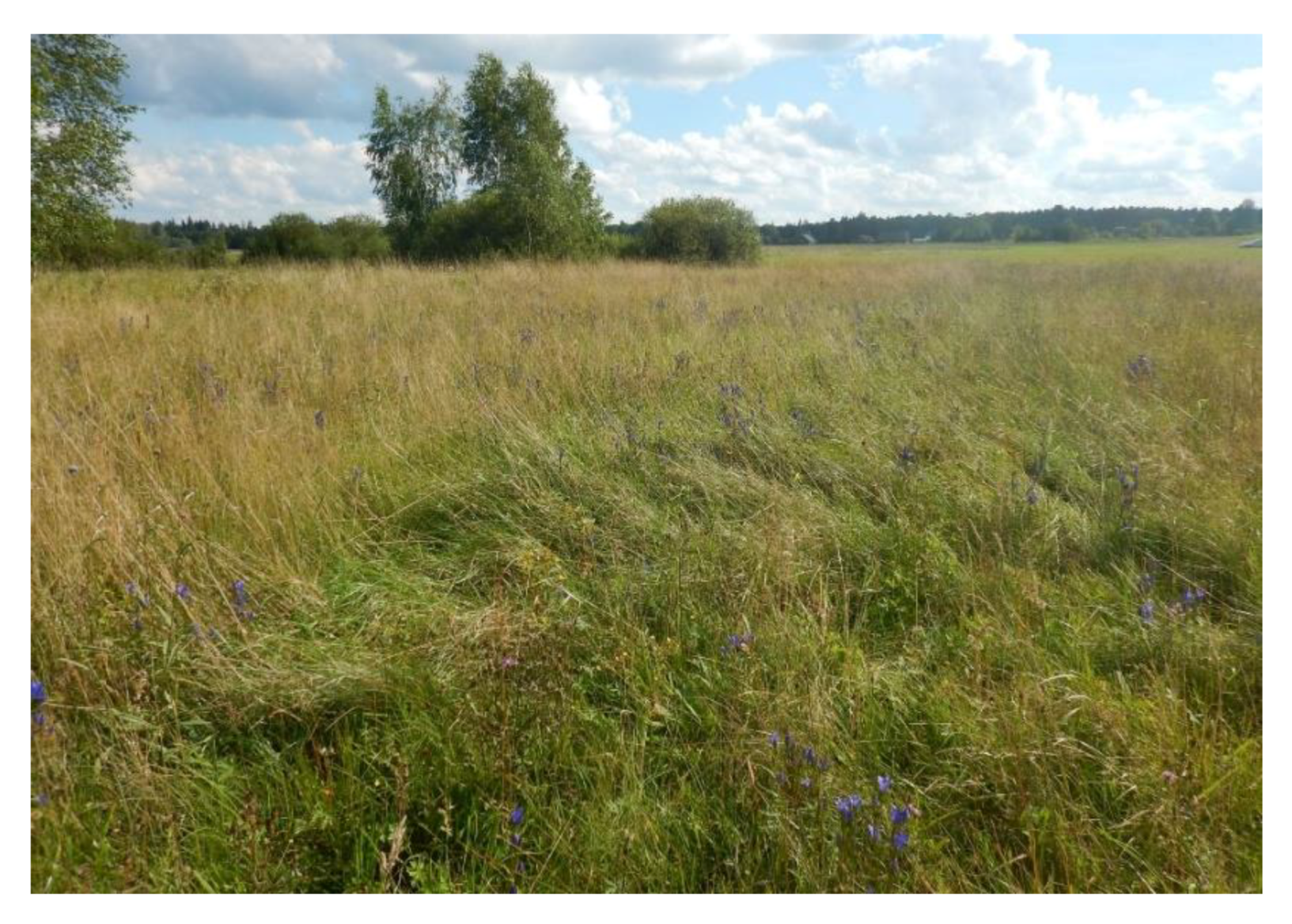 Insects 11 00687 g002