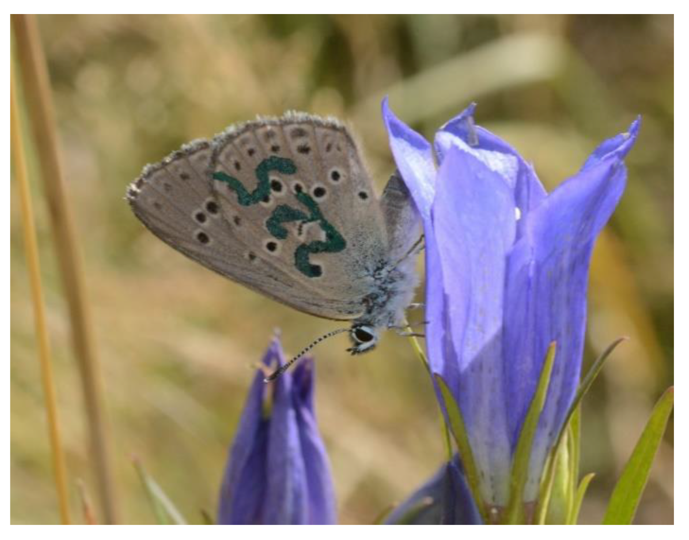 Insects 11 00687 g003