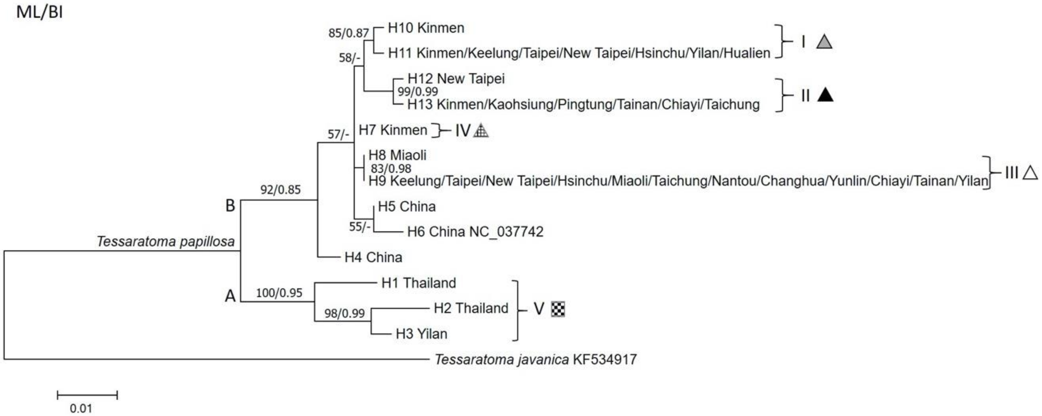 Insects 11 00690 g005