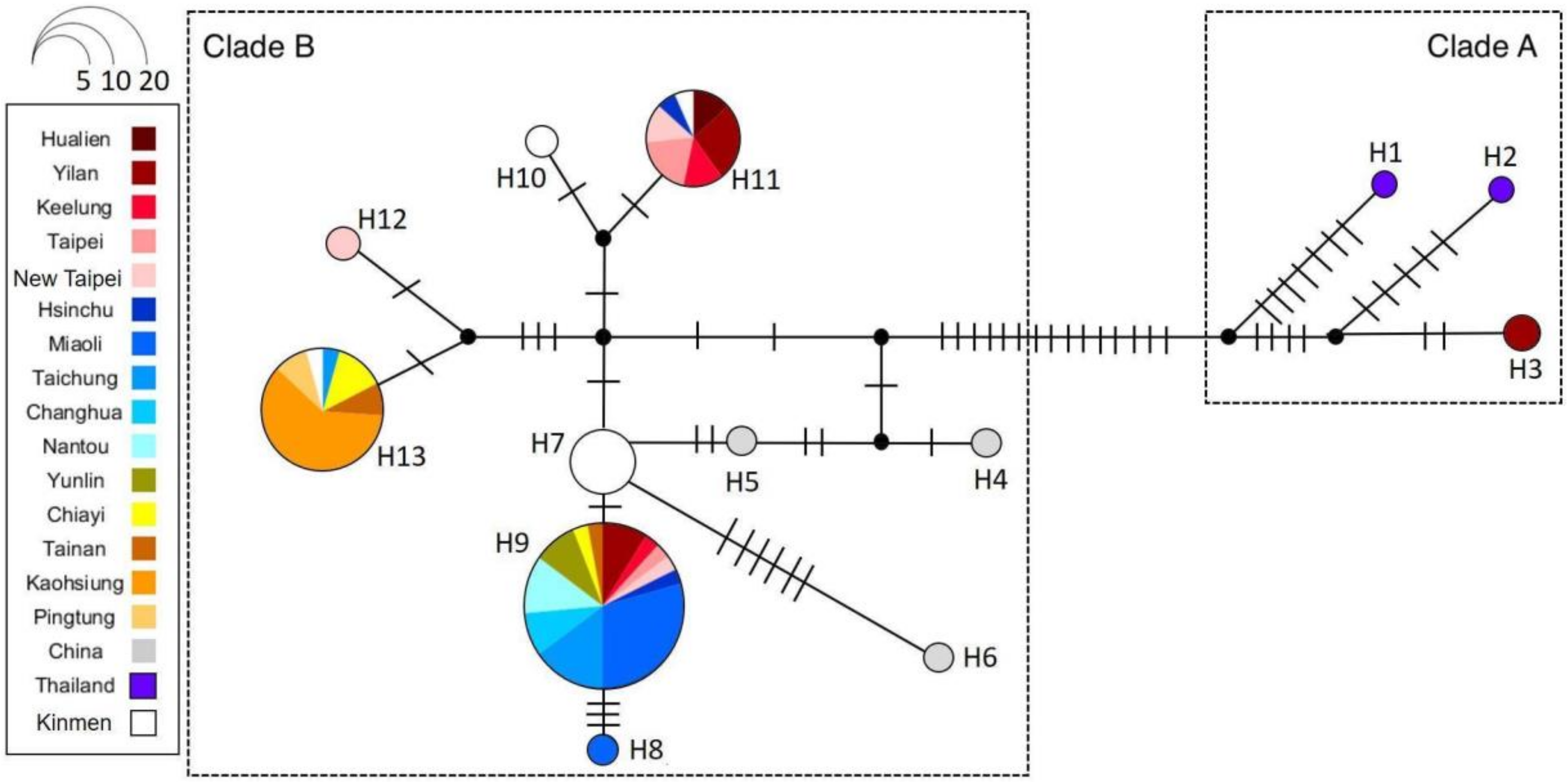 Insects 11 00690 g006