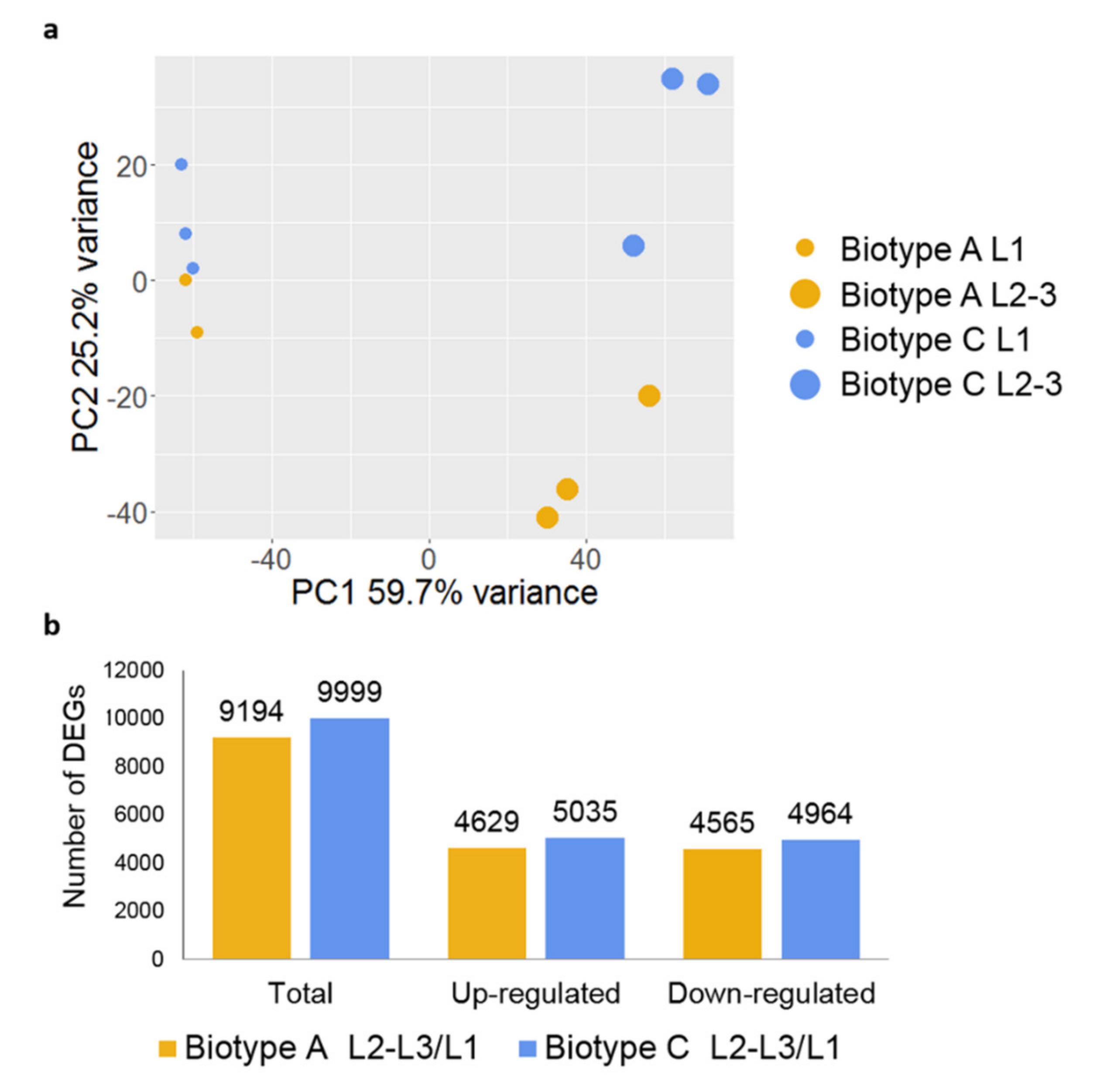 Insects 11 00691 g002