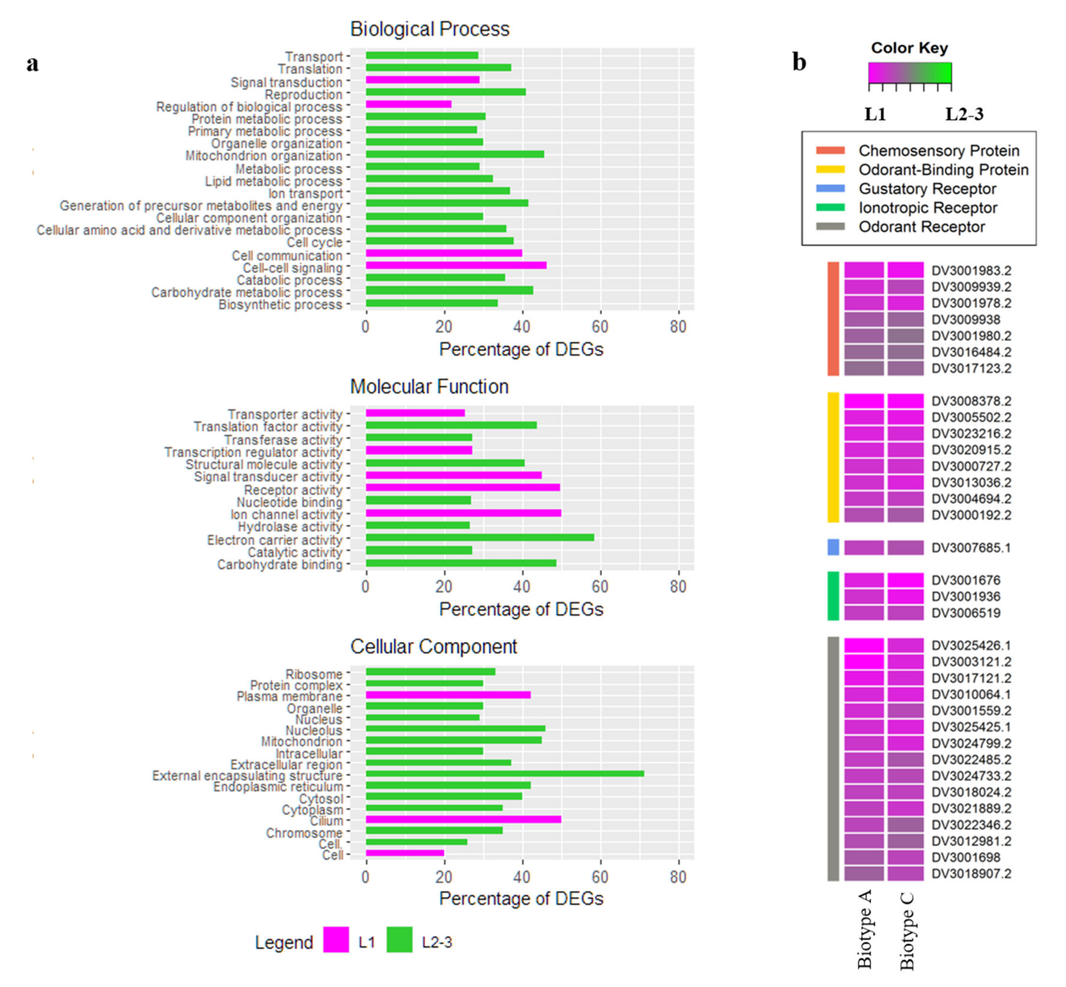 Insects 11 00691 g003