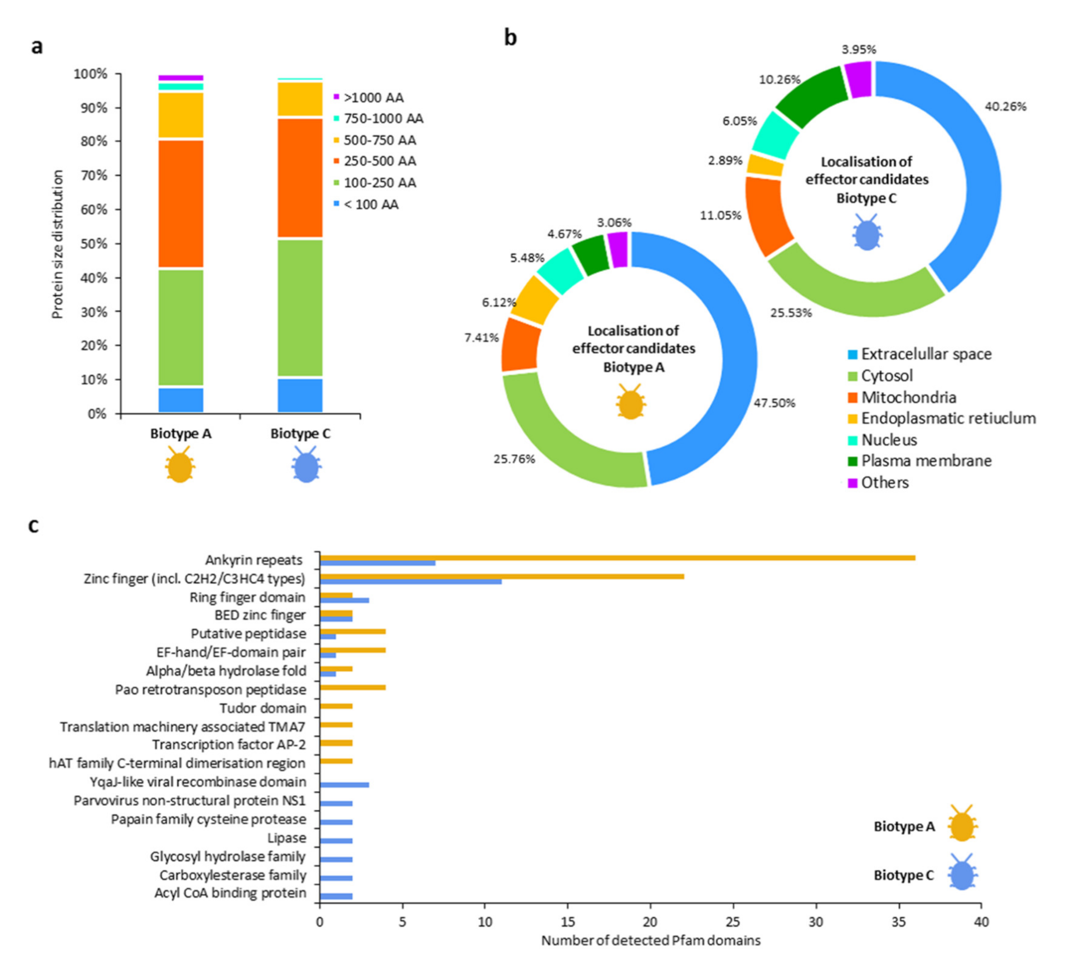 Insects 11 00691 g004
