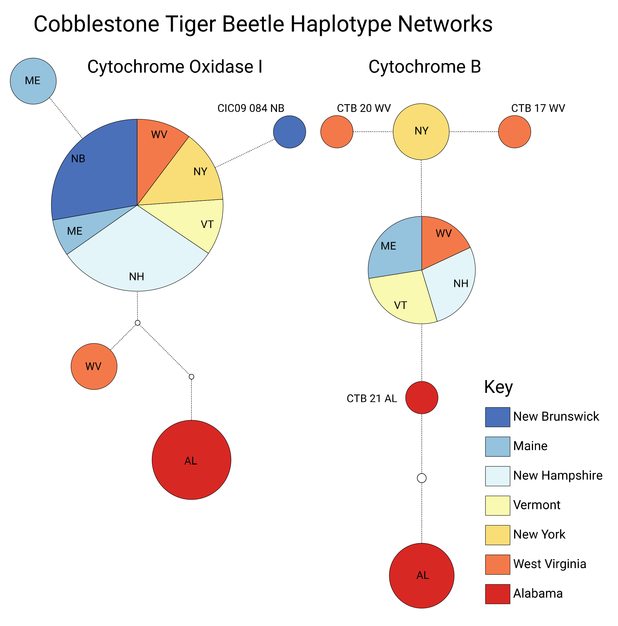 Insects 11 00708 g004