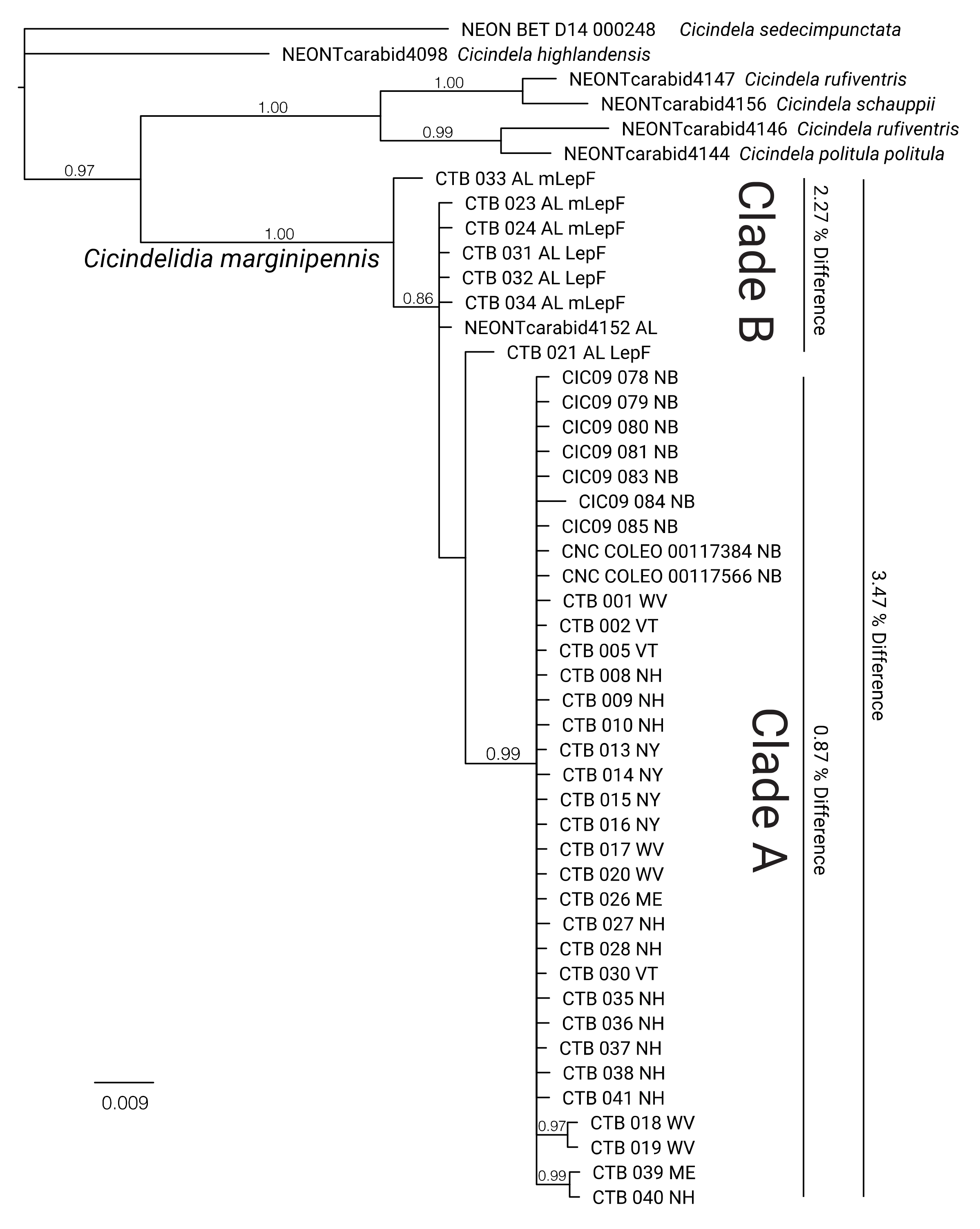 Insects 11 00708 g005