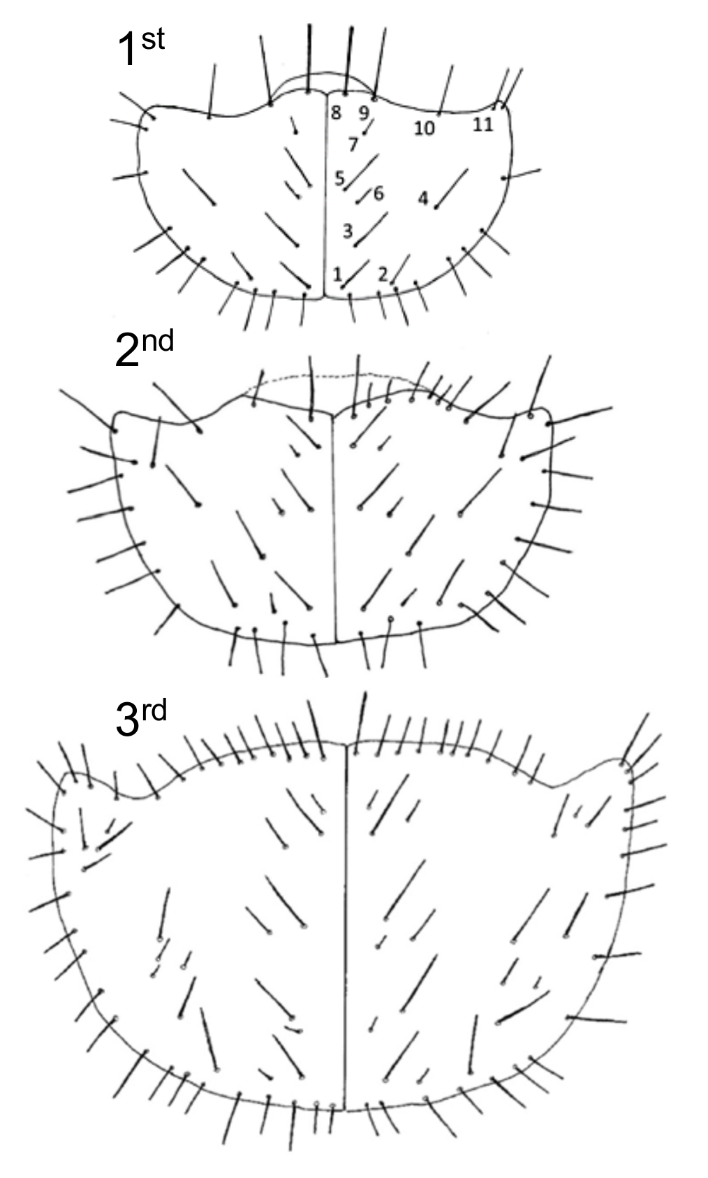 Insects 11 00708 g006