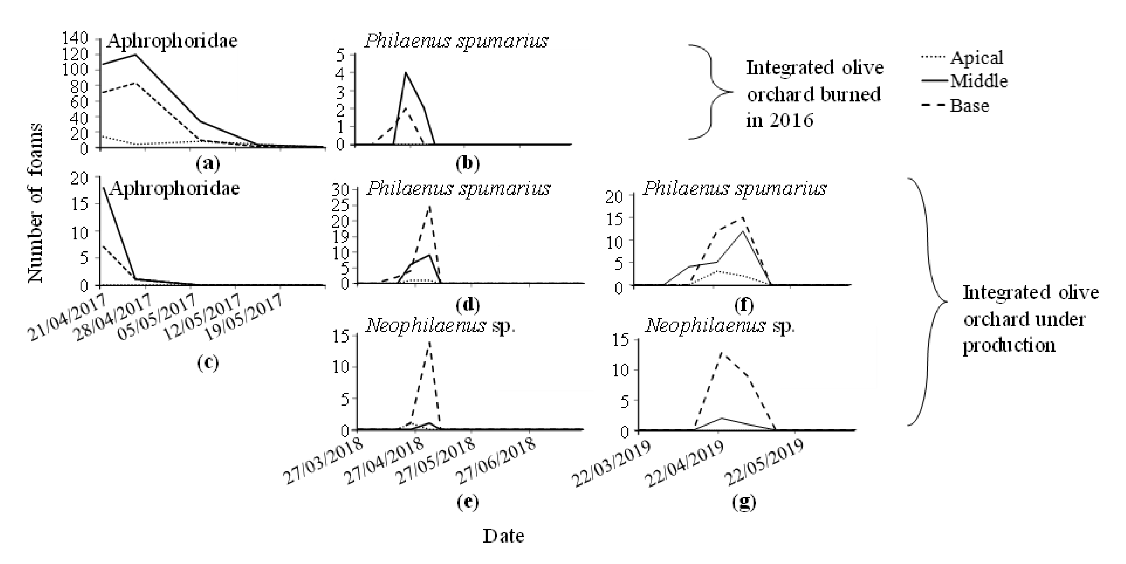 Insects 11 00720 g006 Insects 11 00720 g006
