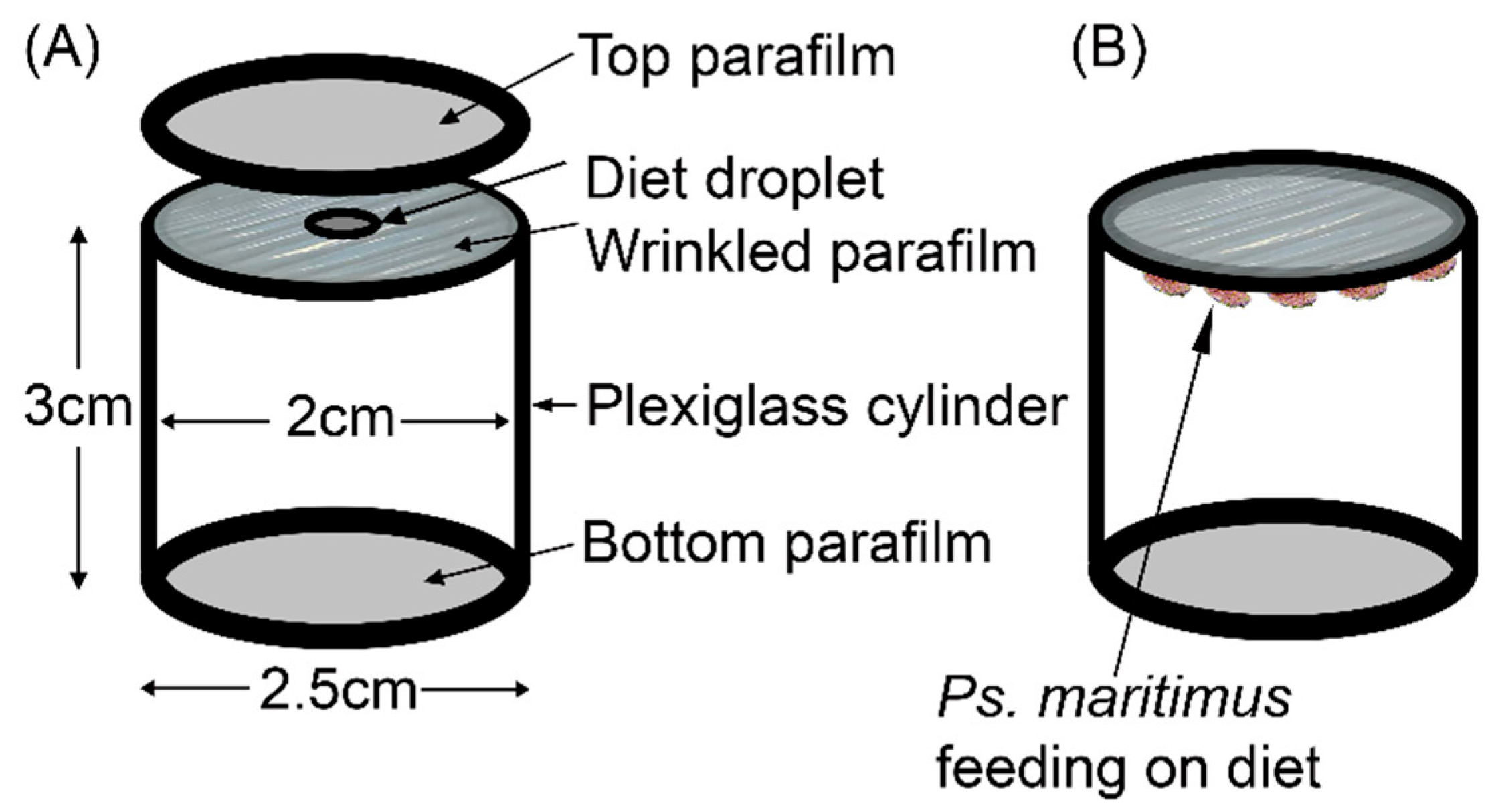 Insects 11 00739 g001