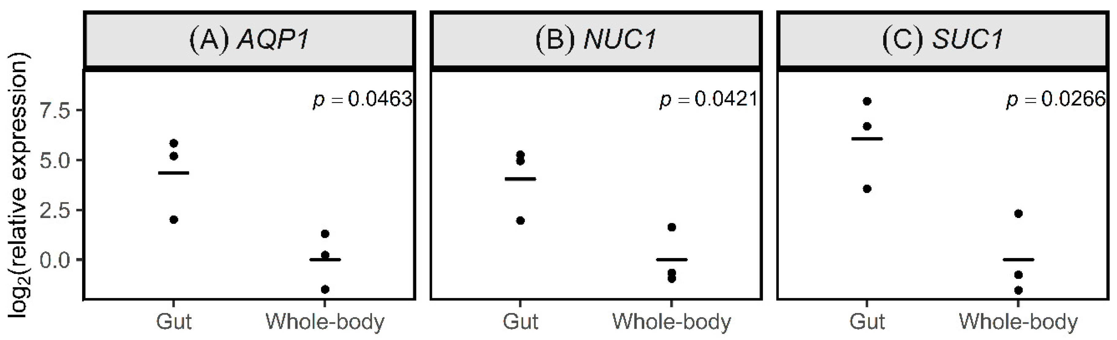 Insects 11 00739 g002