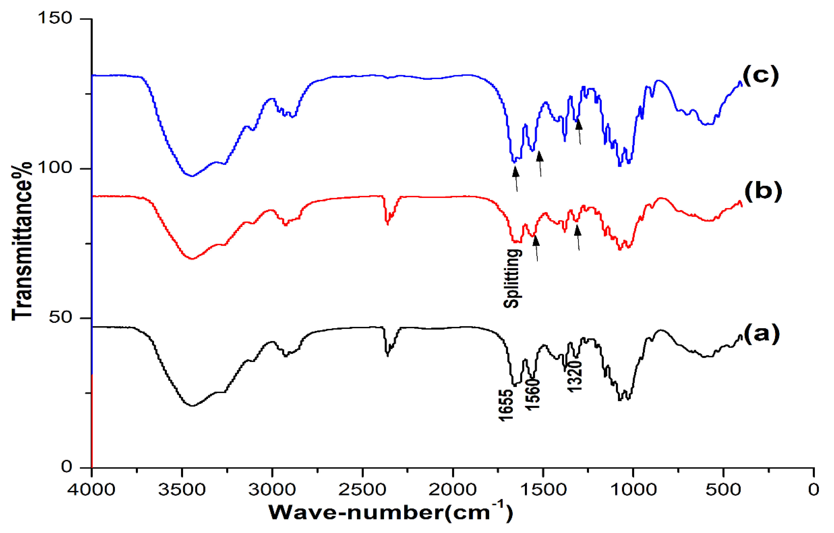 Insects 11 00788 g001